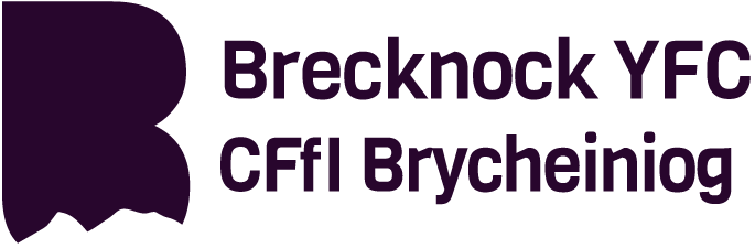 Brecknock YFC Funding Manager Post 