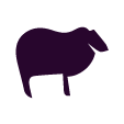 Lamb Trimming Competition - Sunday 23rd September 2018