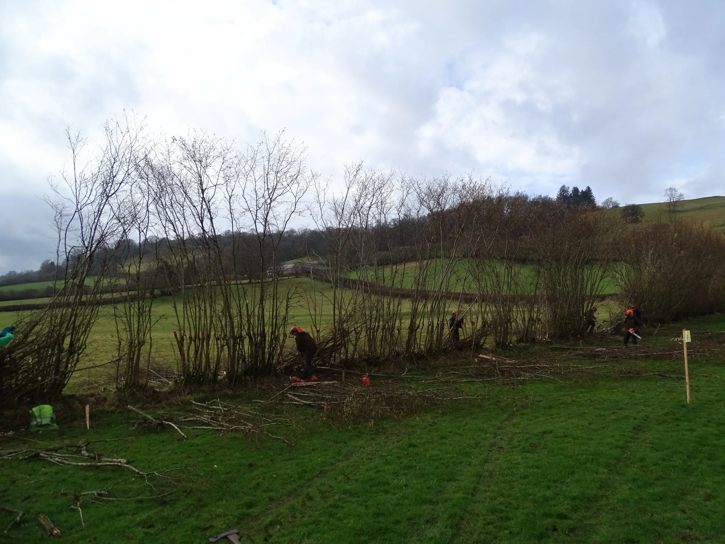 DSC00155.JPG