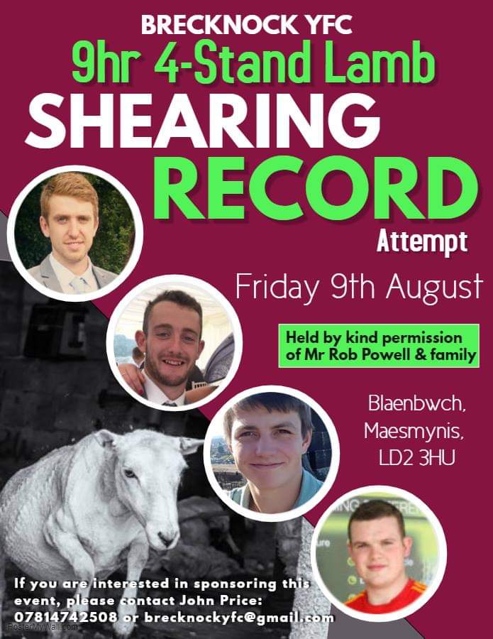 Shearing 1.jpeg