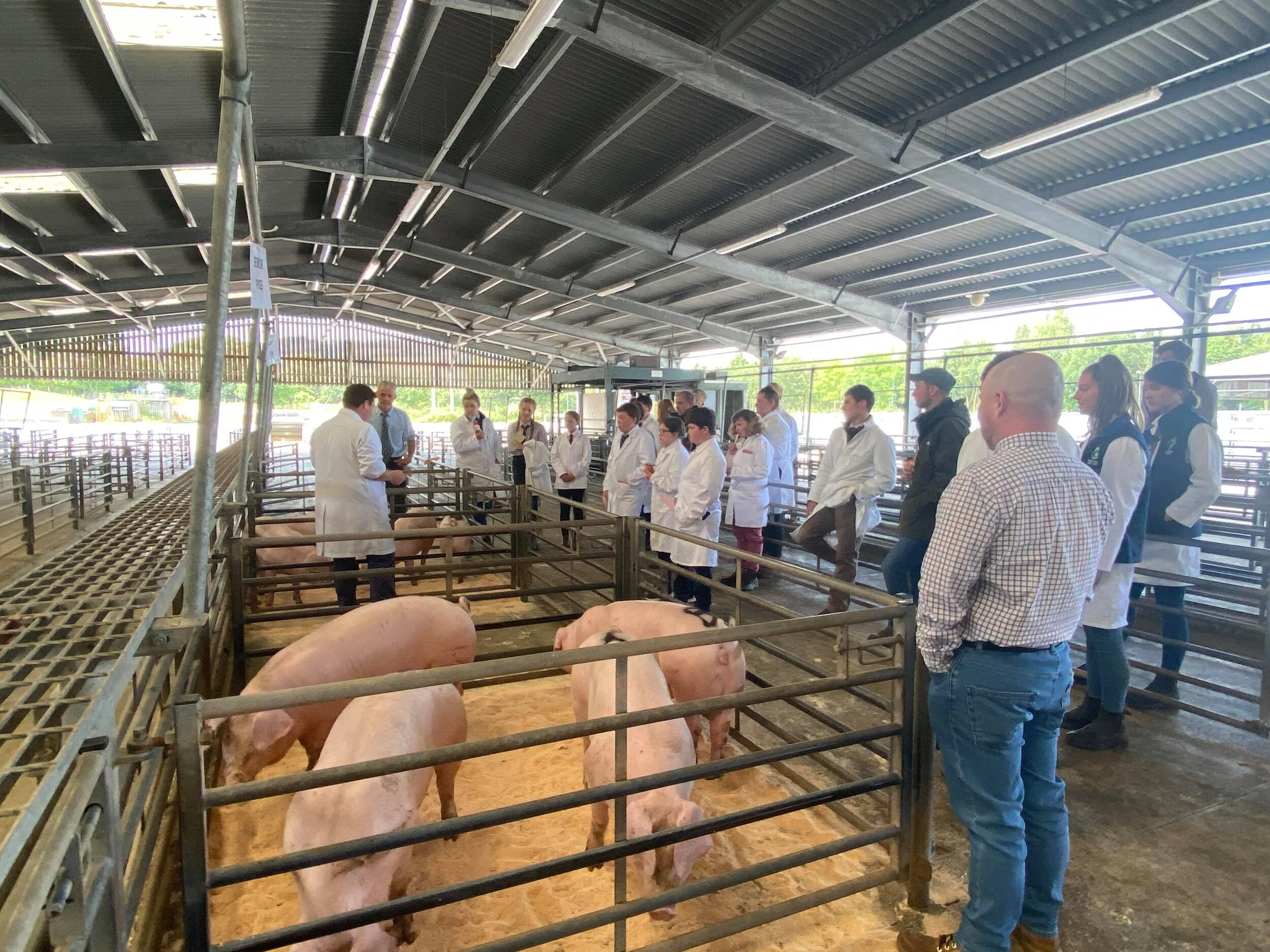 Successful Stock-judging Day 