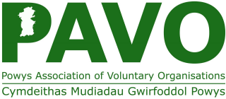PAVO Mental Health Project 