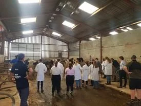 Dairy Judging 
