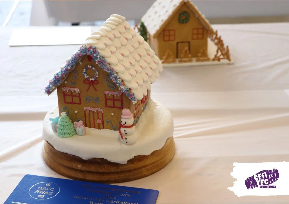 Brecknock at the Royal Welsh Winter Fair 2024.