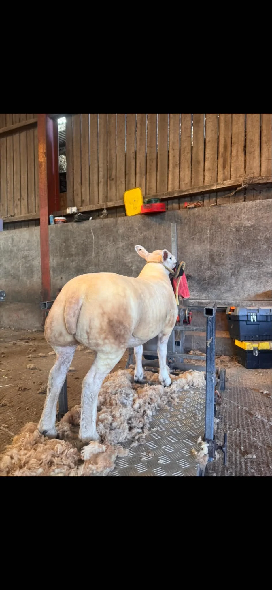 image00067.jpeg