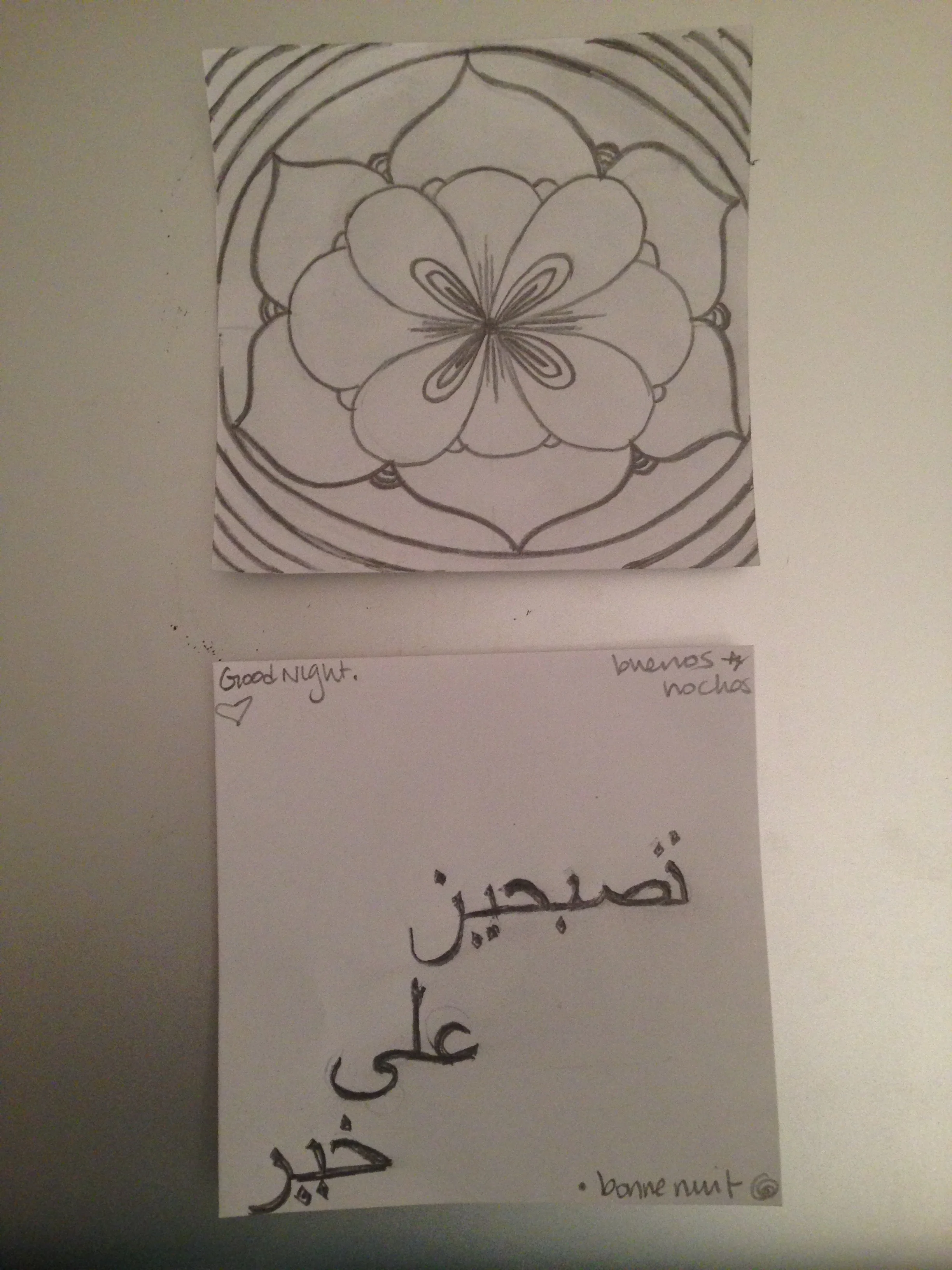 Shining Light and Star of the Sea: A Love Story