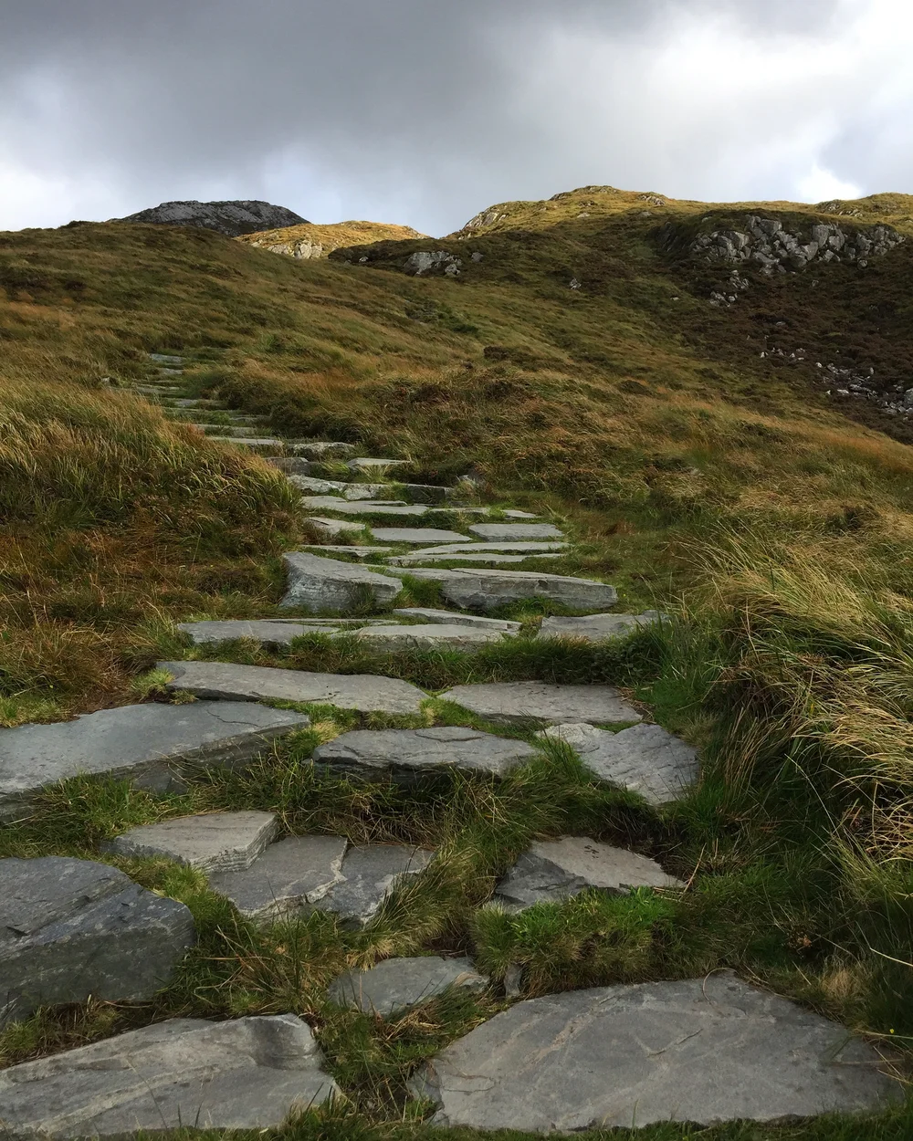Connemara National Park