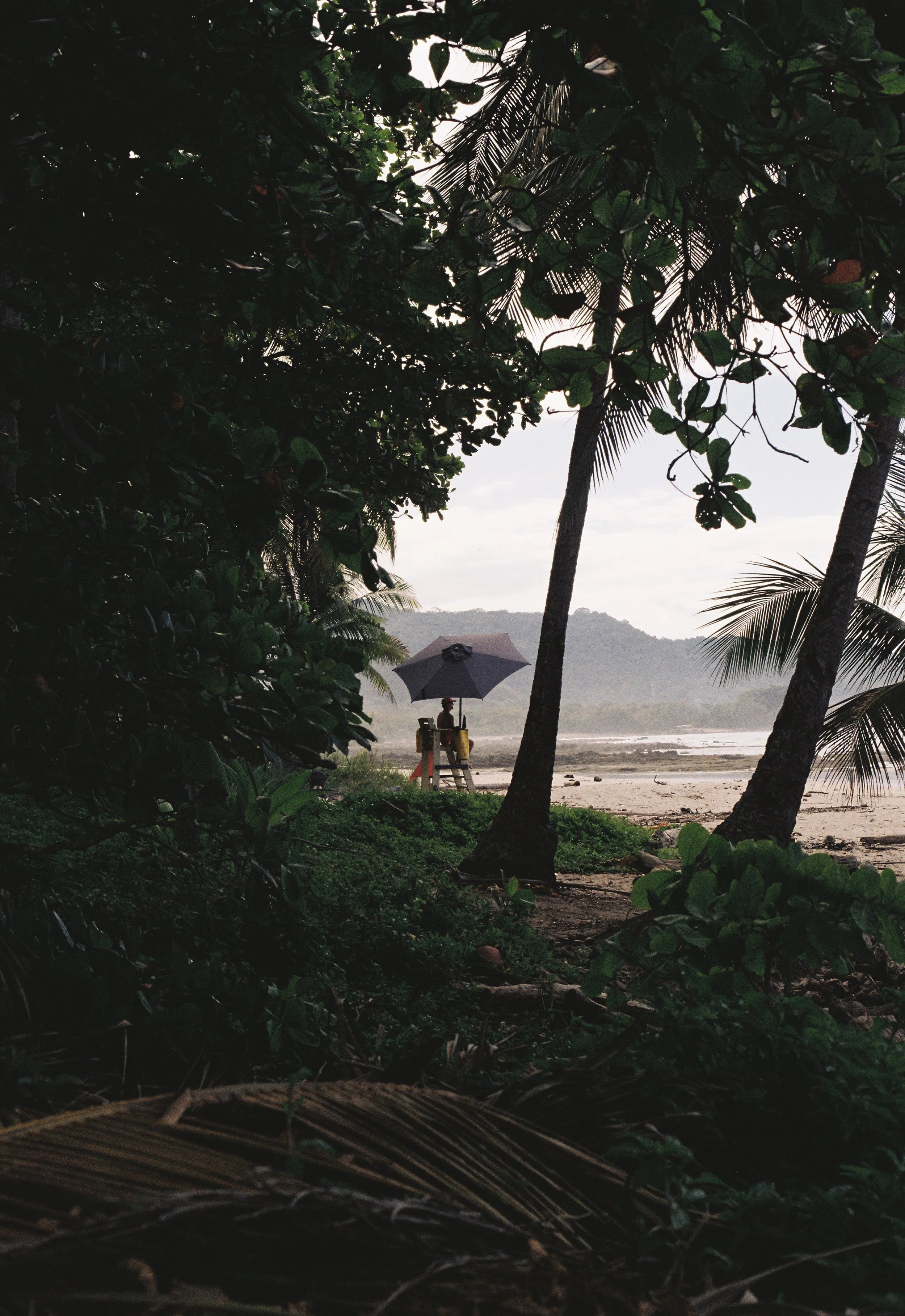 Lifeguard. Santa Teresa, Costa Rica. 2026