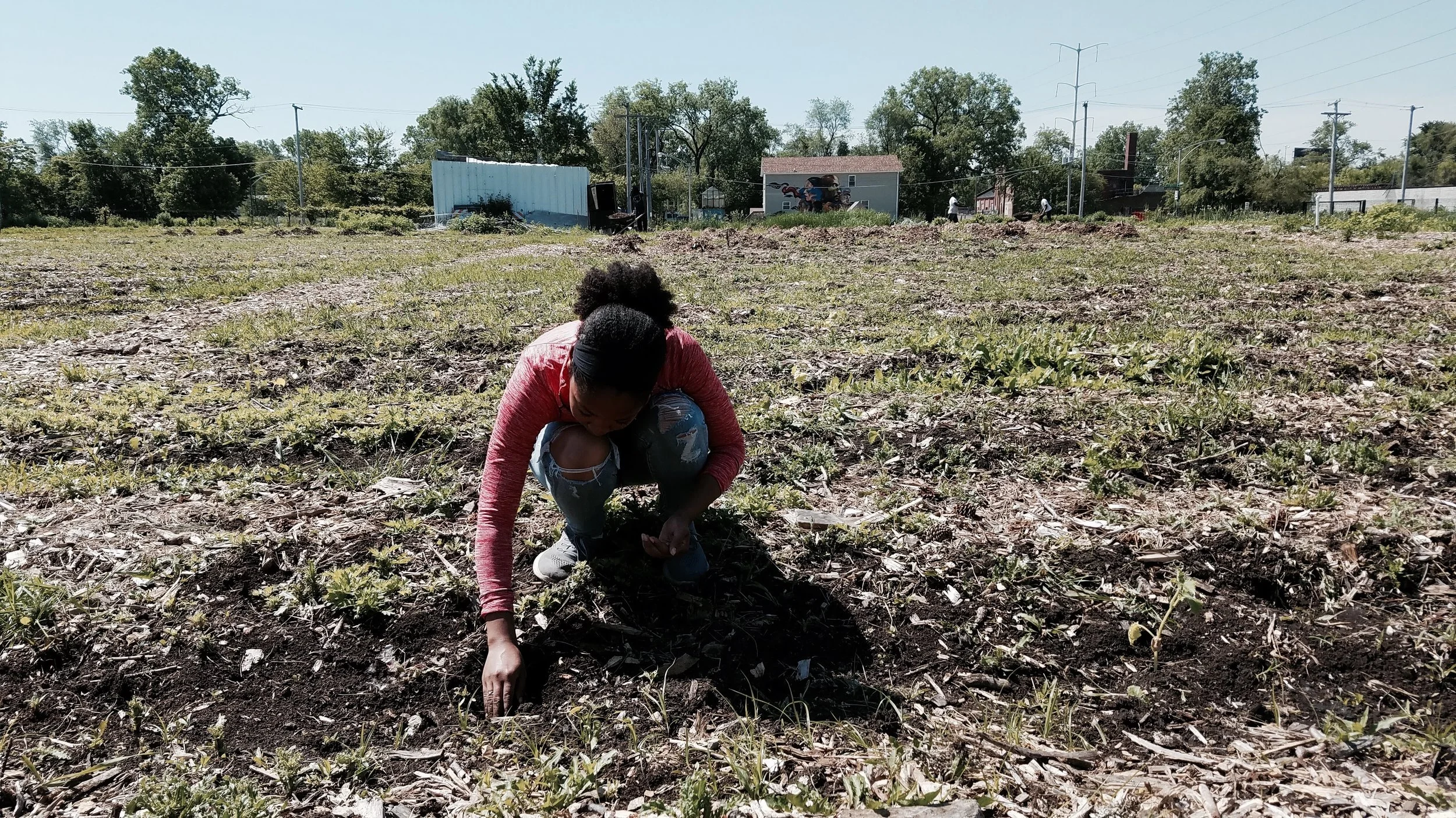 20170601_104146 - Copy.jpg