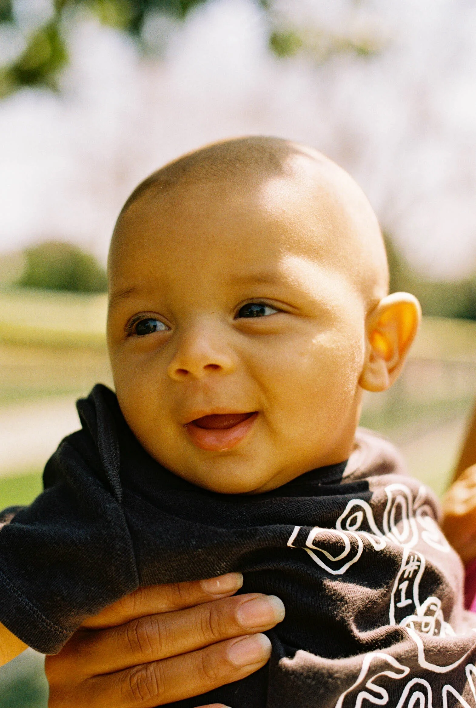 41132dp000001-R1-042-19A.jpg
