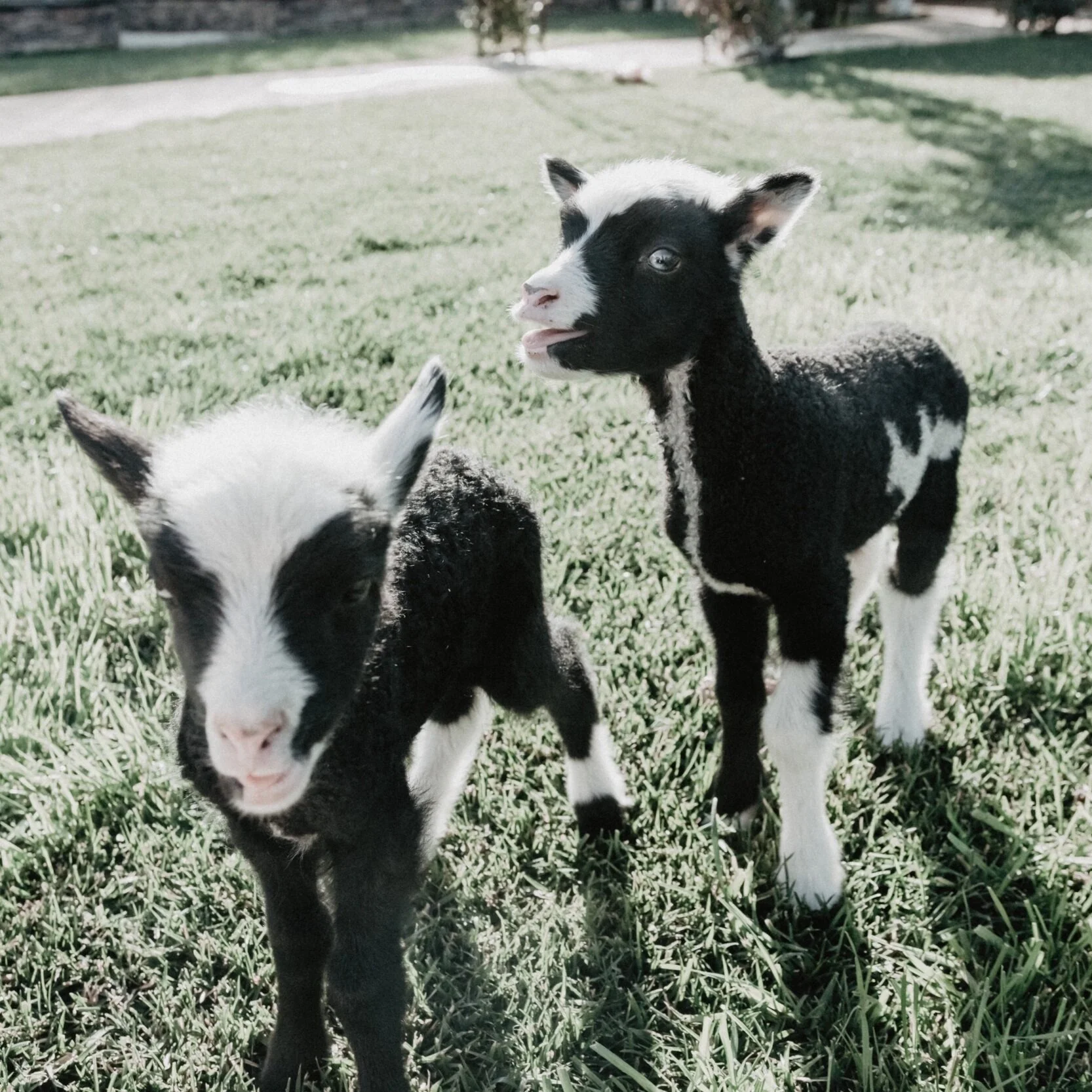 Top 5 Family Photography Venues in San Diego