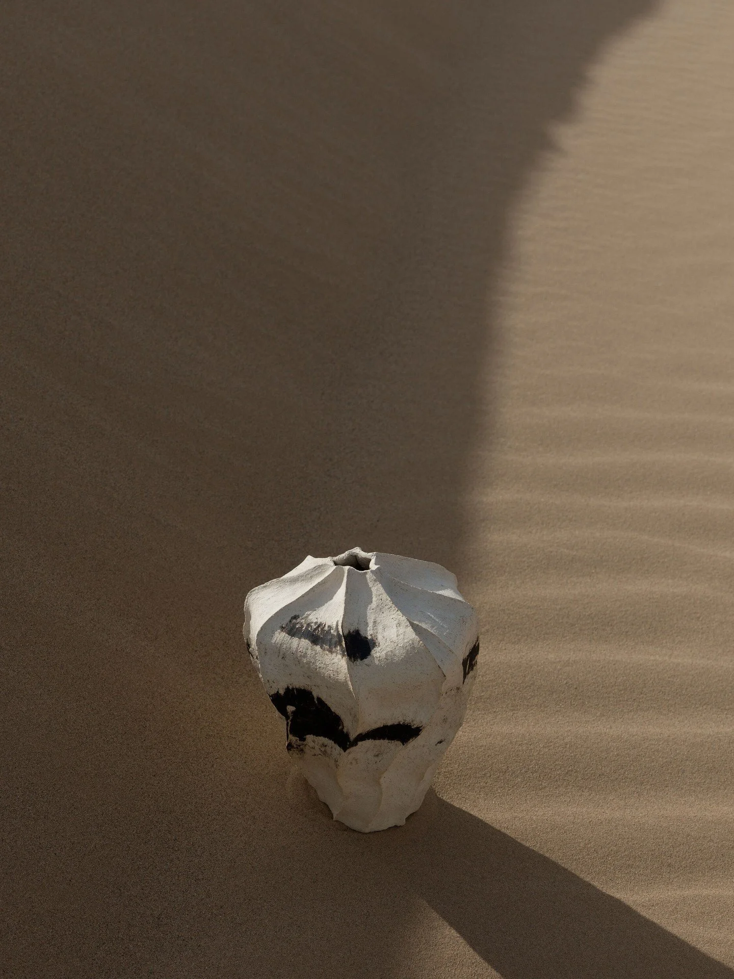 STILL

STL40-312

I carried each vase into the dunes. It was cool out but the sun was even more brutal than the wind advisory.

I found a little nook hiding from the wind and played with the light and angles.

The original plan was foiled by the wind