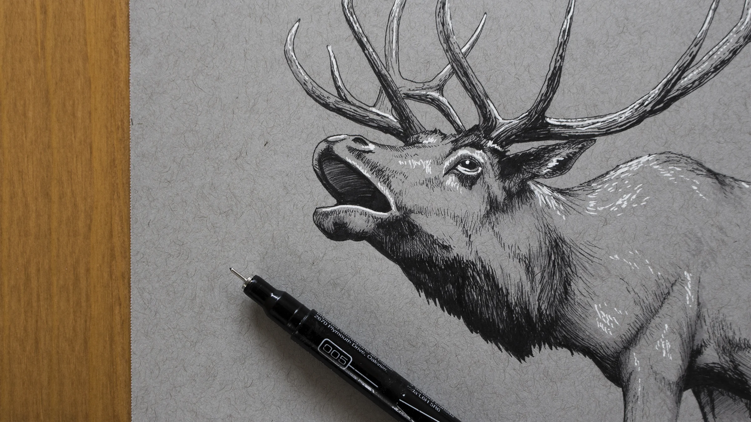 Elk Photo 16x9_FINAL_Small.jpg