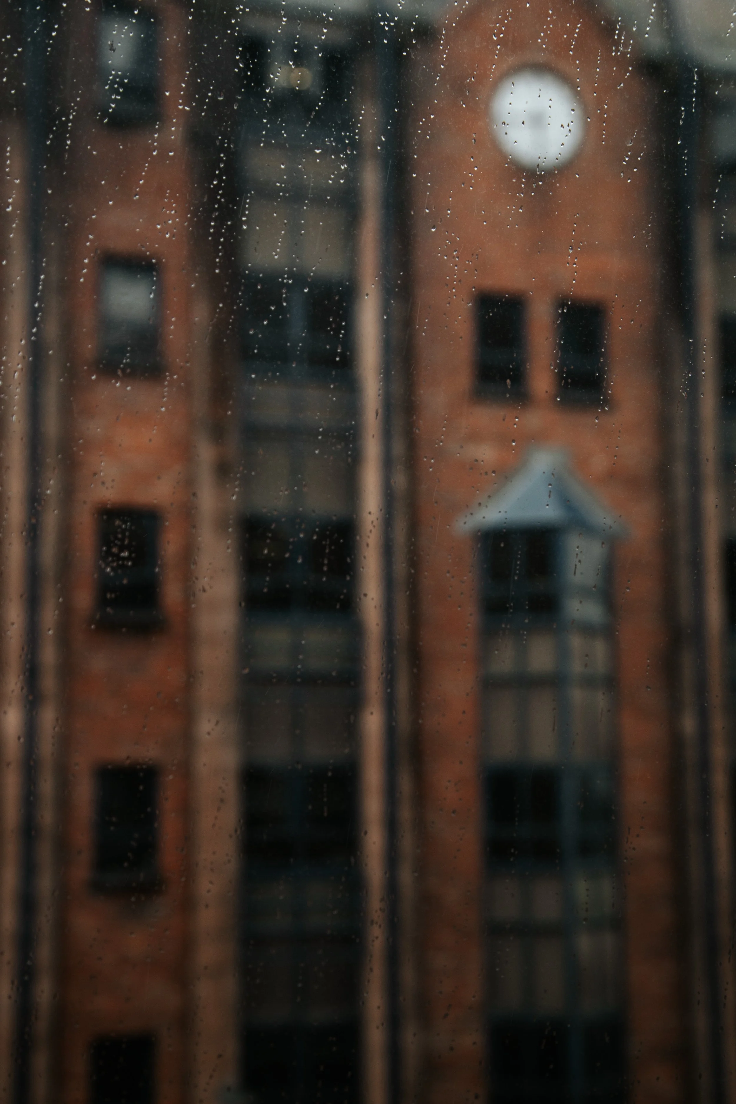 8F0A0246_7091.JPG