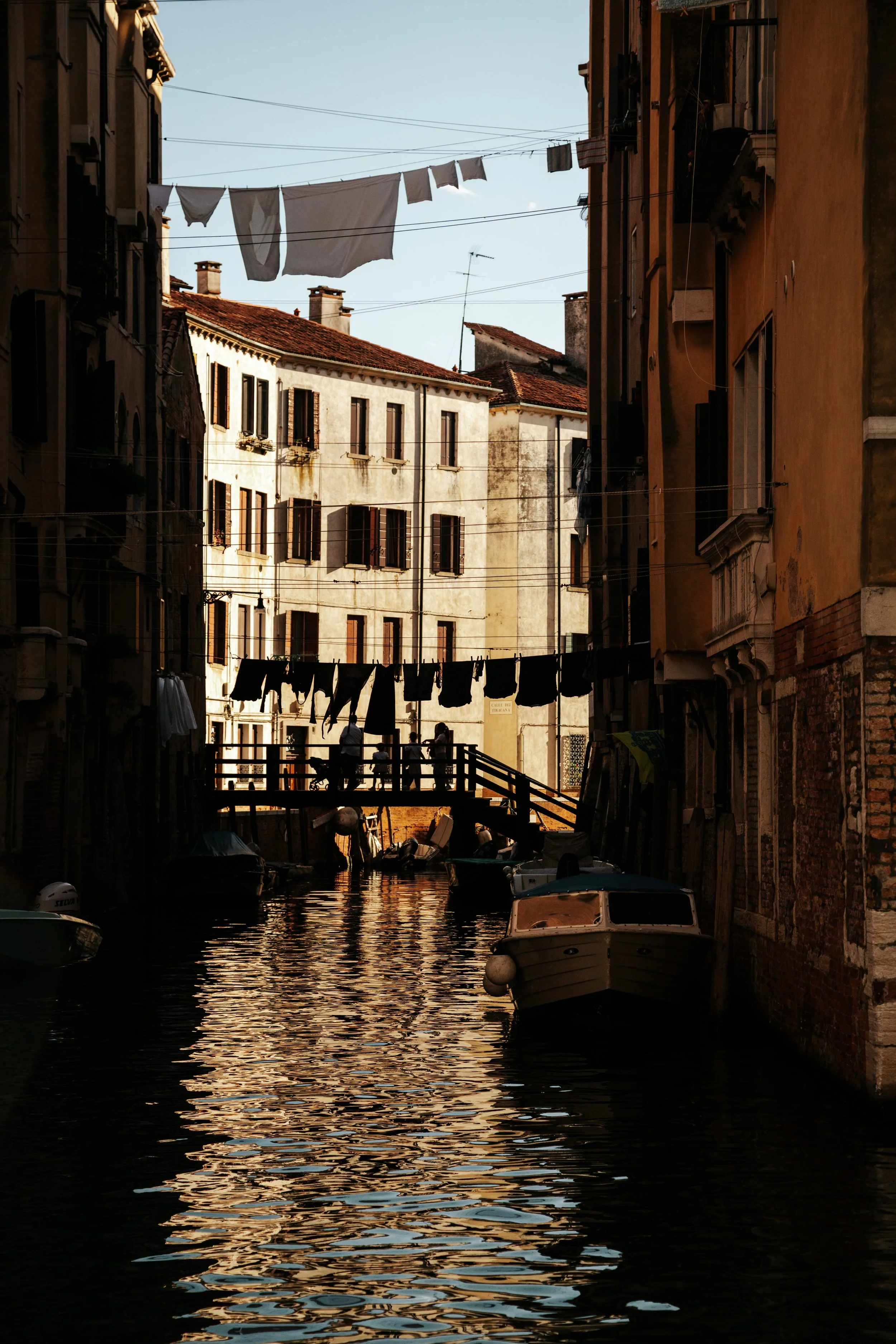 8F0A6649.JPG