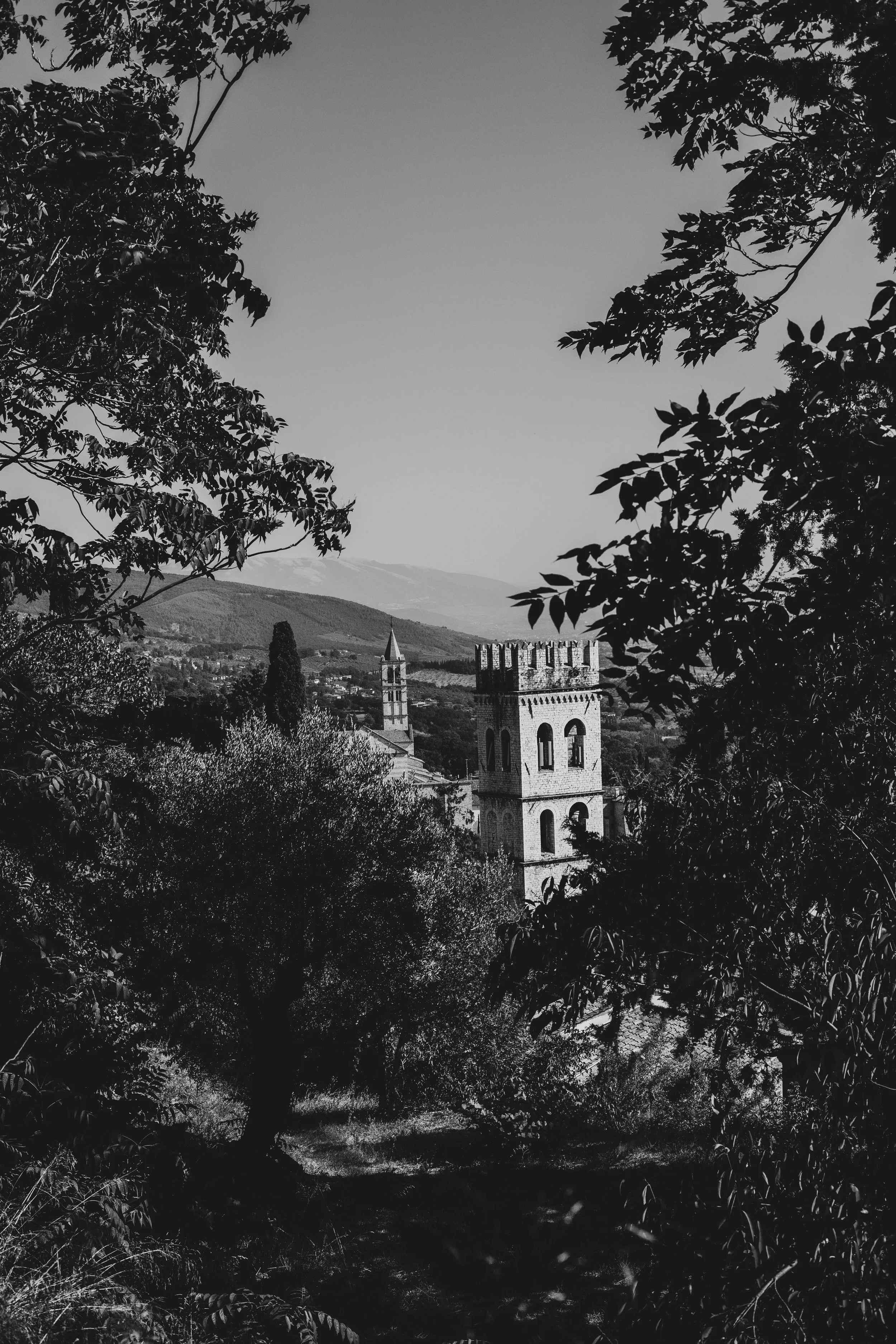 8F0A0640.JPG
