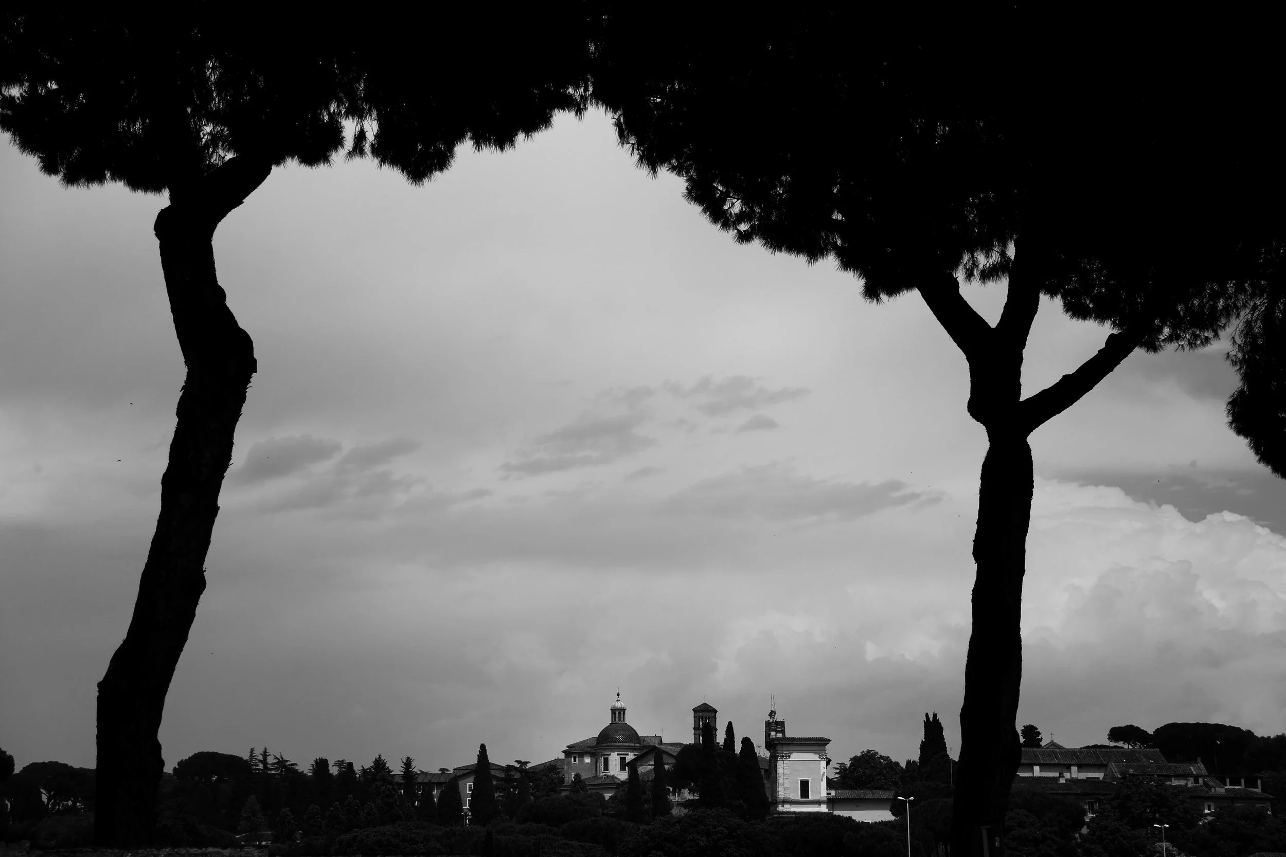 8F0A0974_6122 copy.JPG