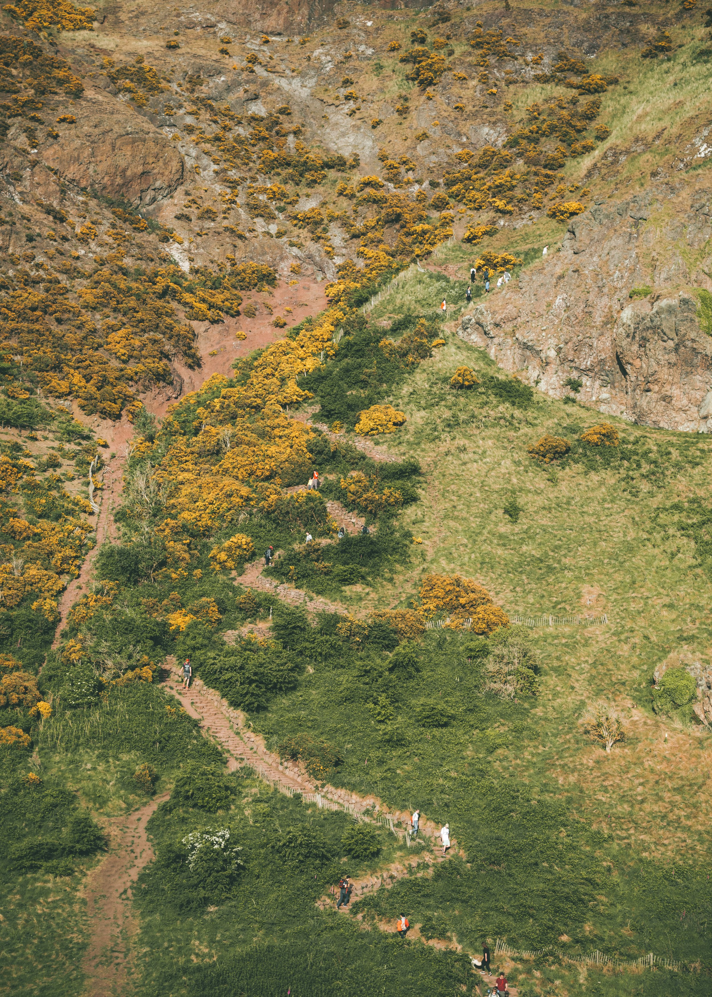 8F0A0130_7219 copy.JPG