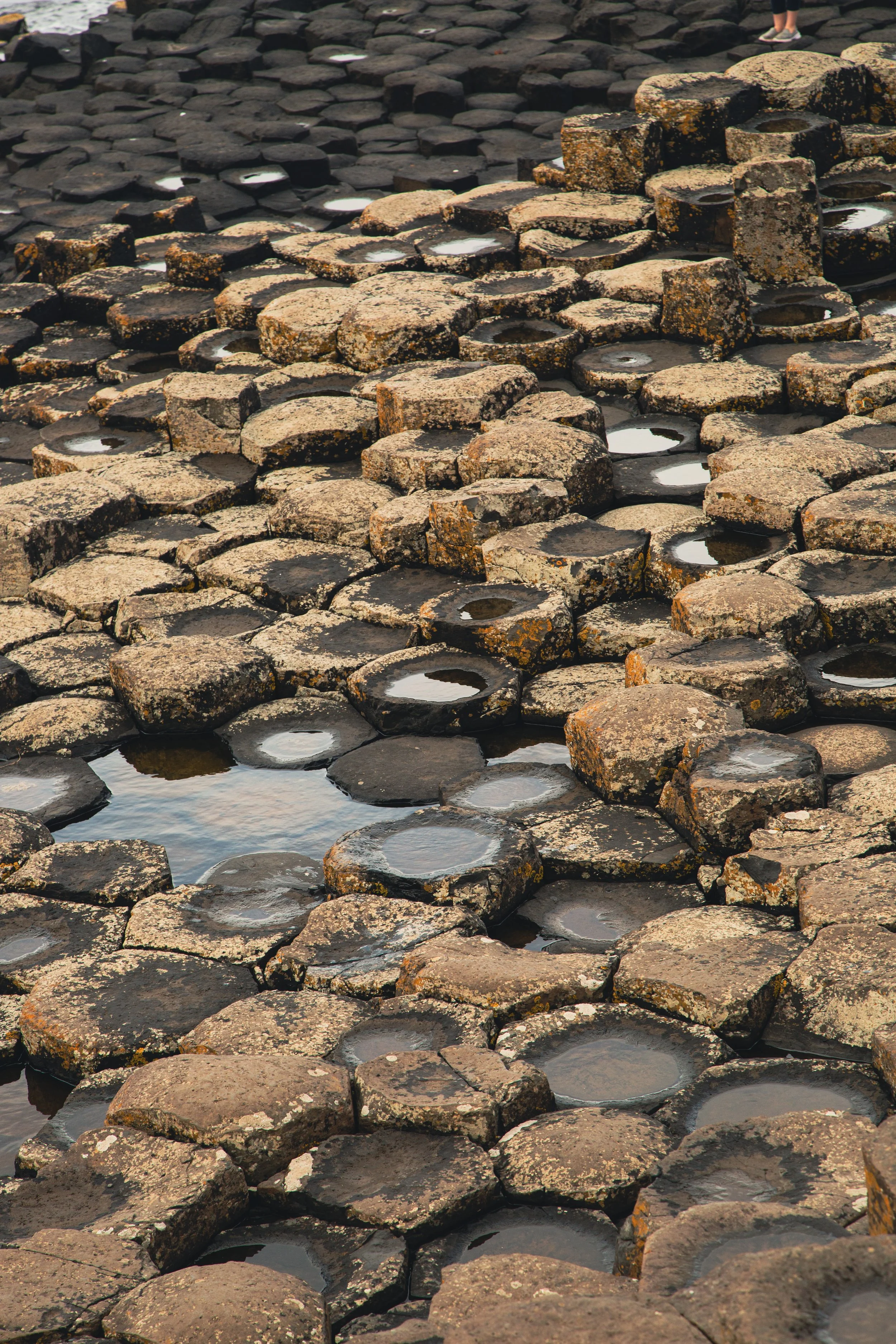 8F0A0936_6397 copy.JPG