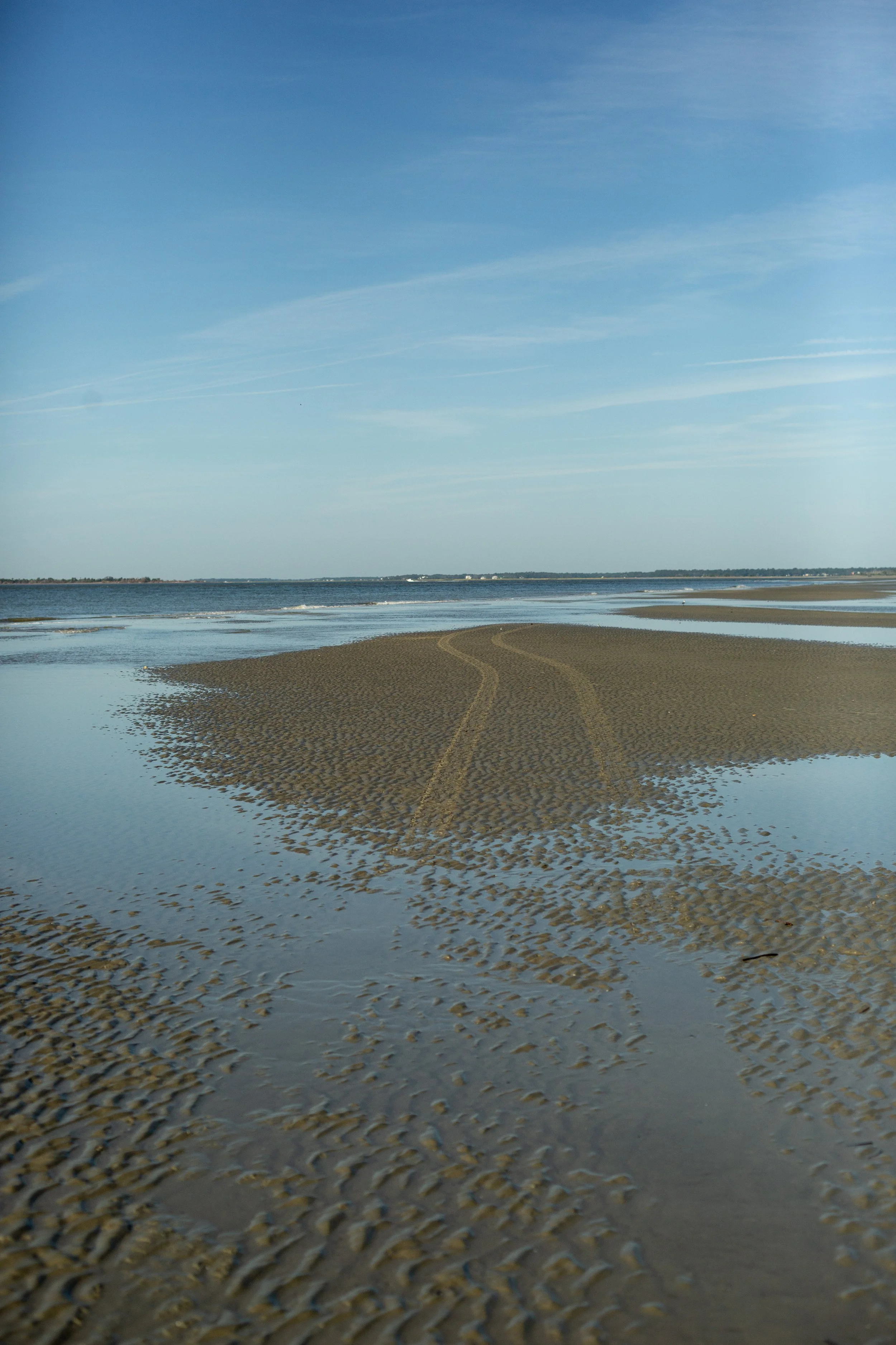 8F0A0541.JPG