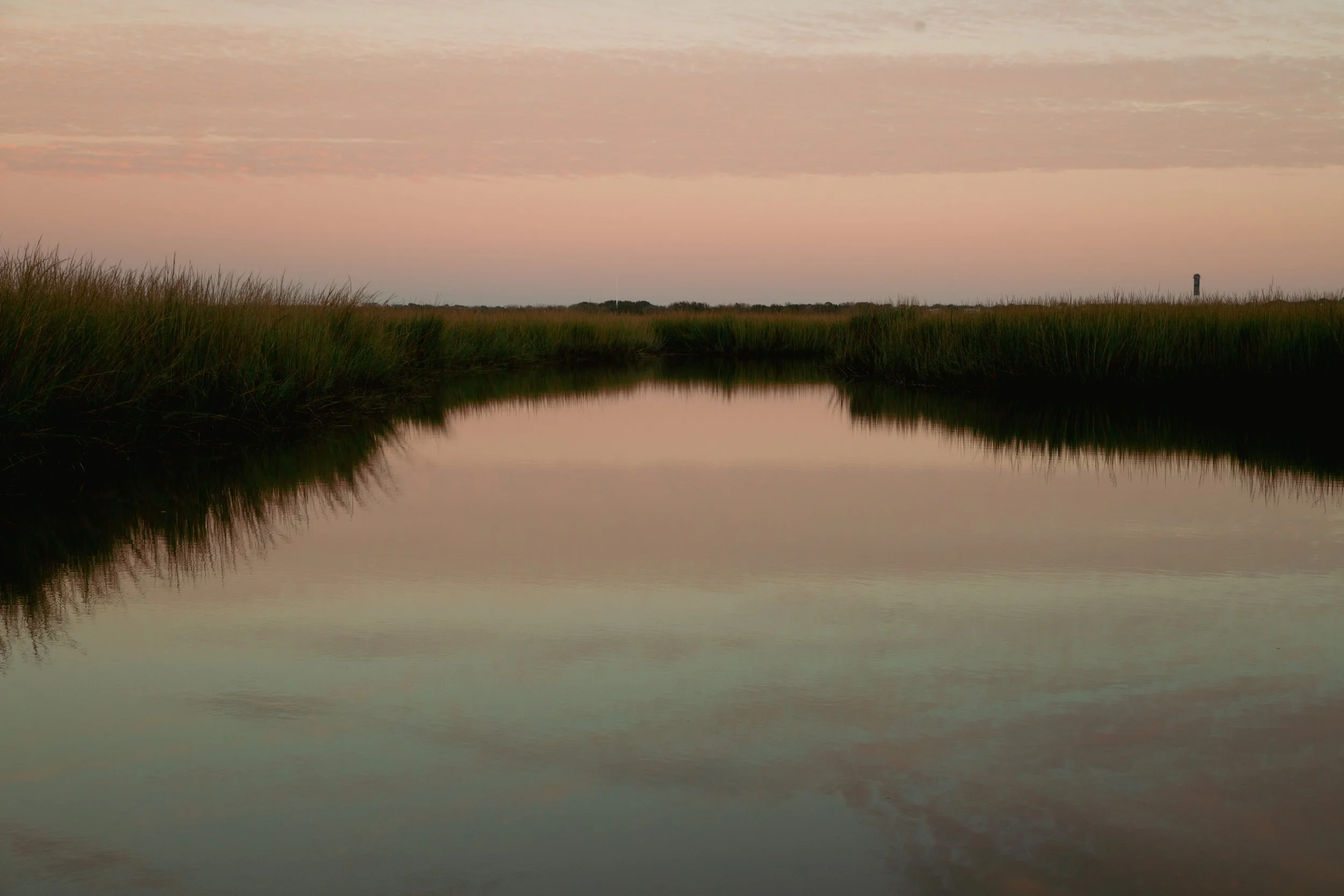 8F0A0826.JPG