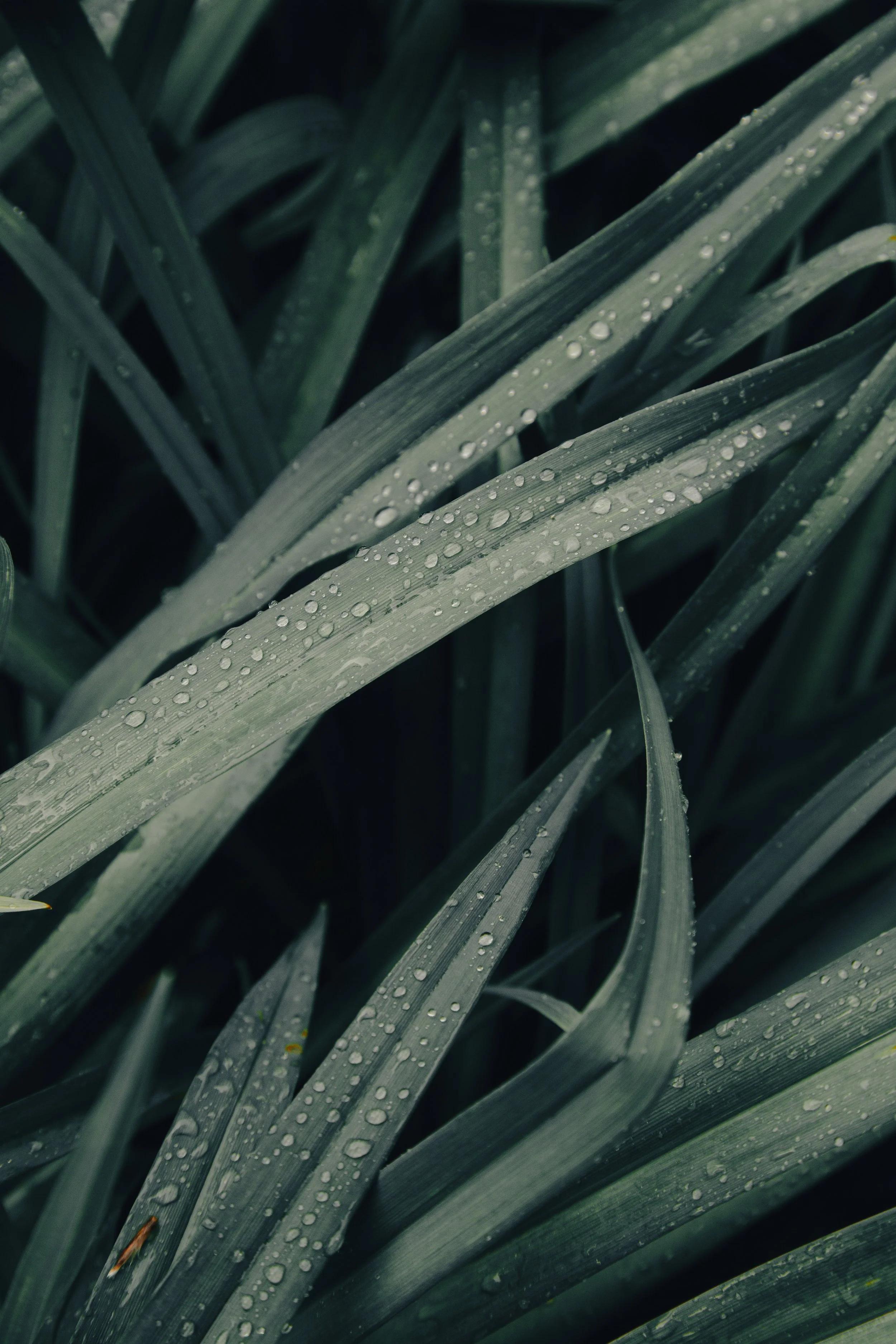 8F0A0107_.JPG