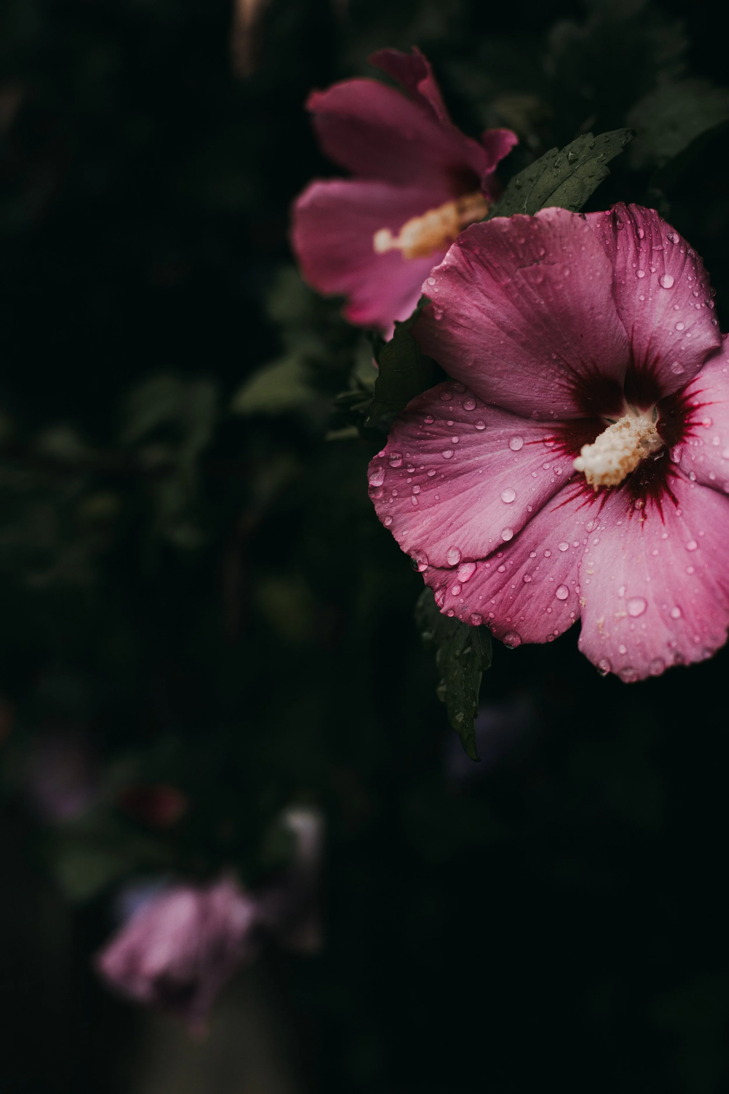 8F0A5721_.JPG