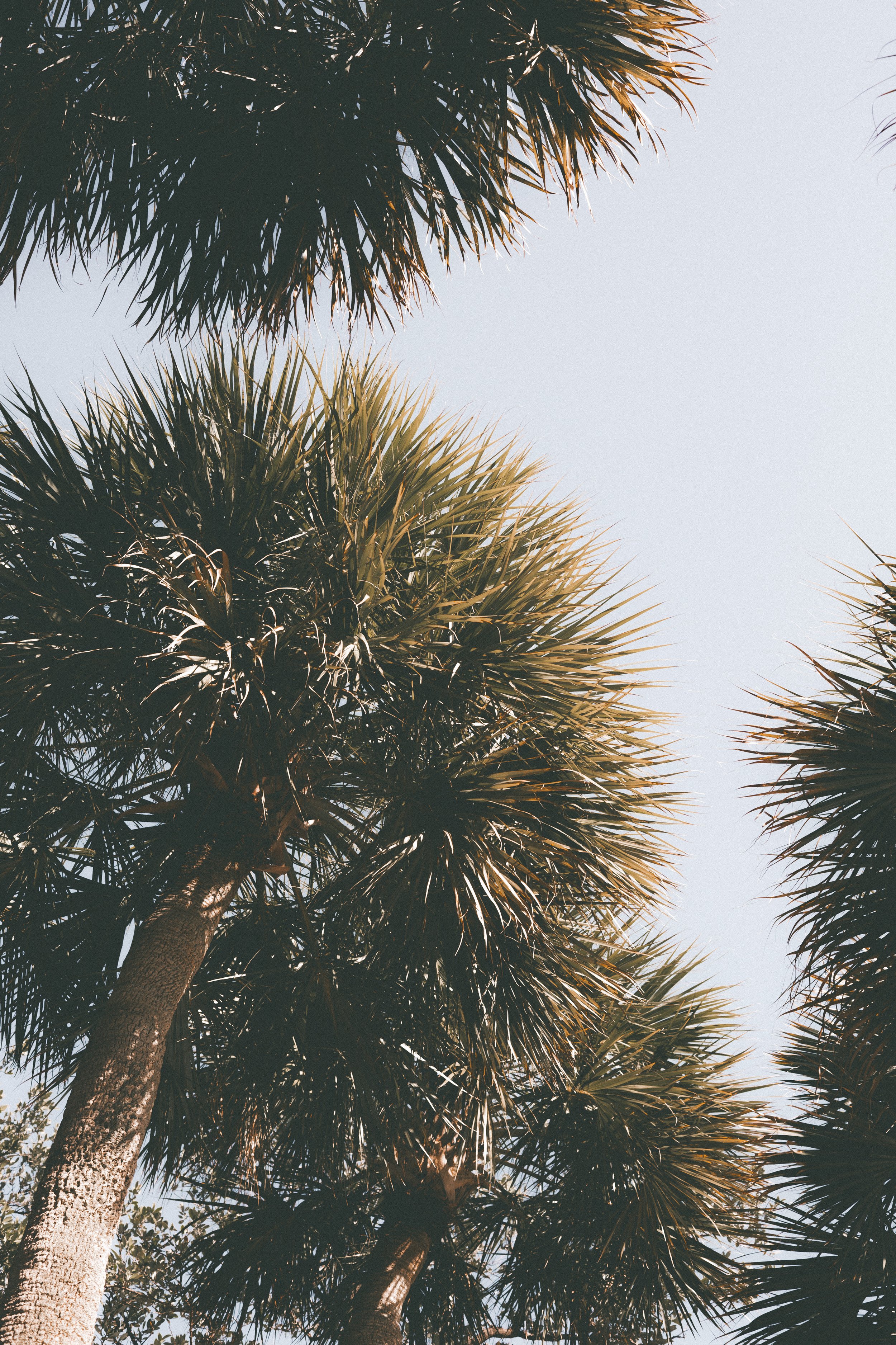 8F0A0016_.JPG