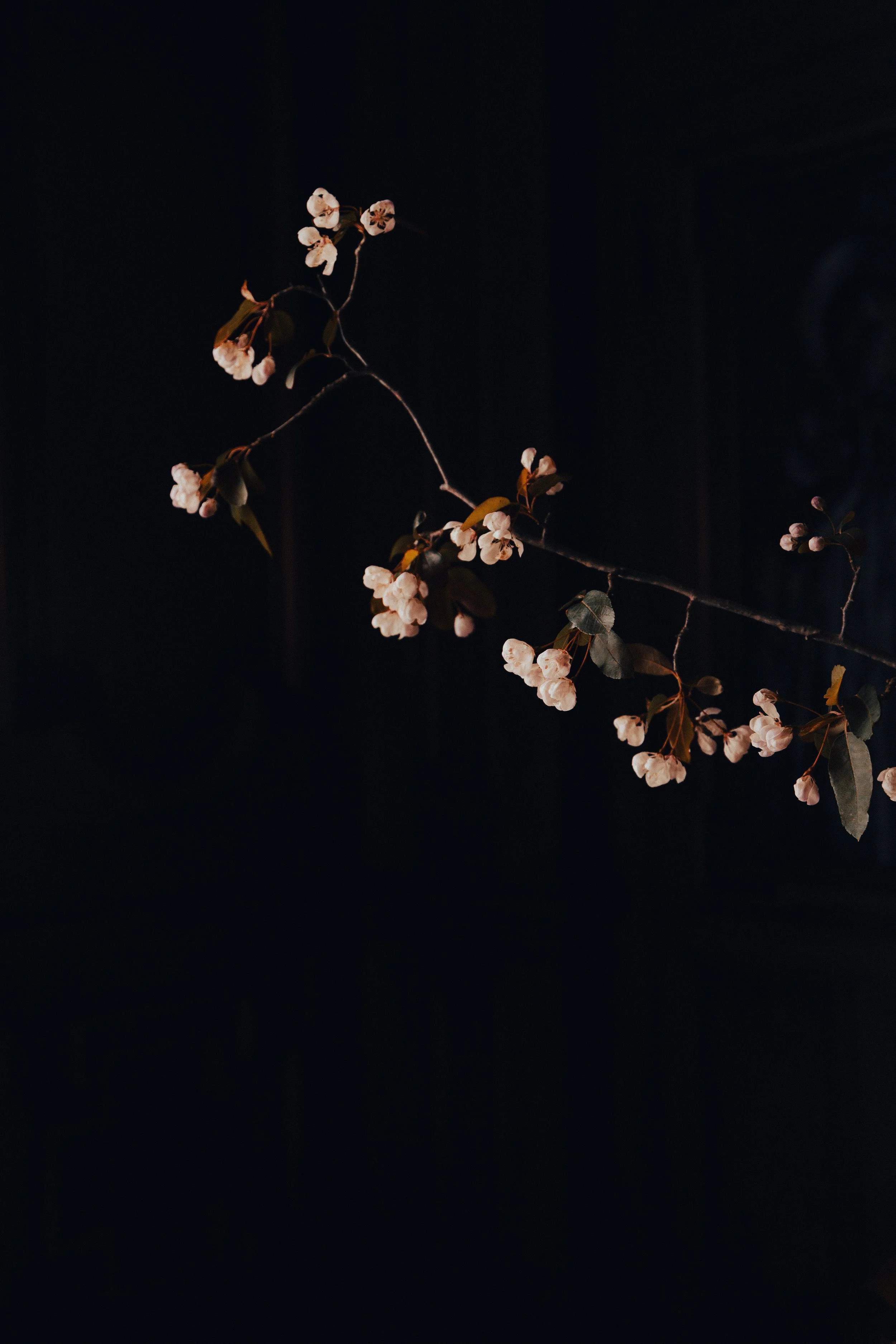 8F0A0030_.JPG