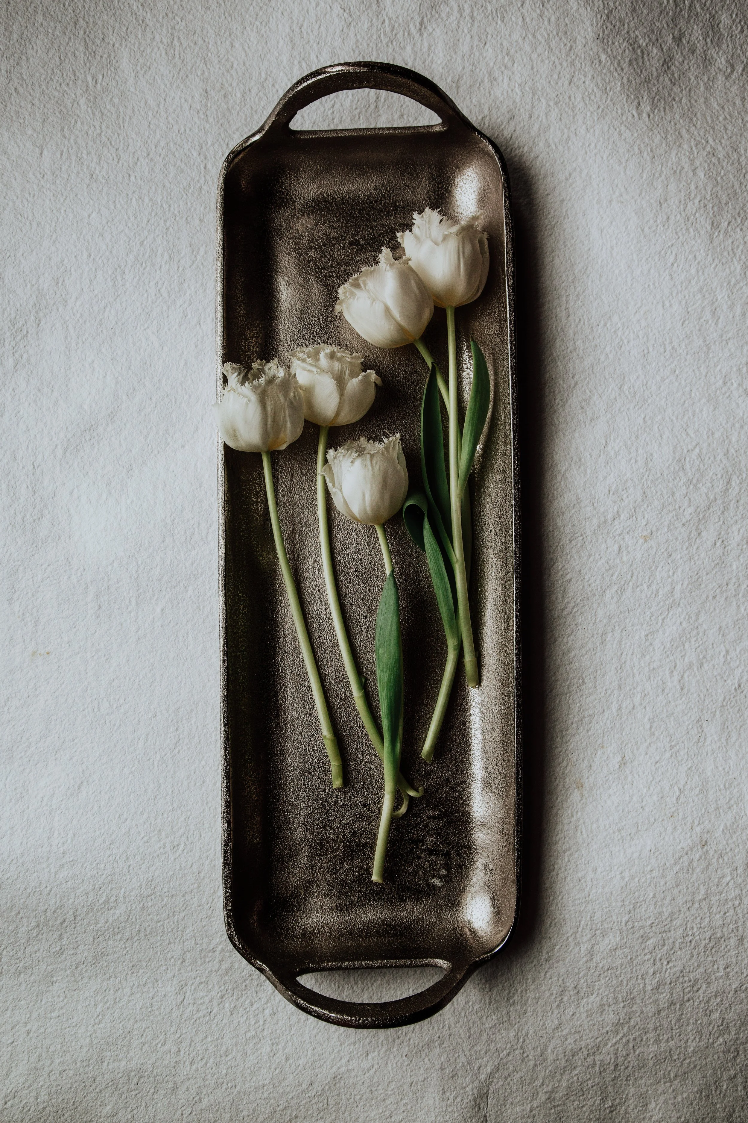 Botanicals_Feb201910338_.JPG