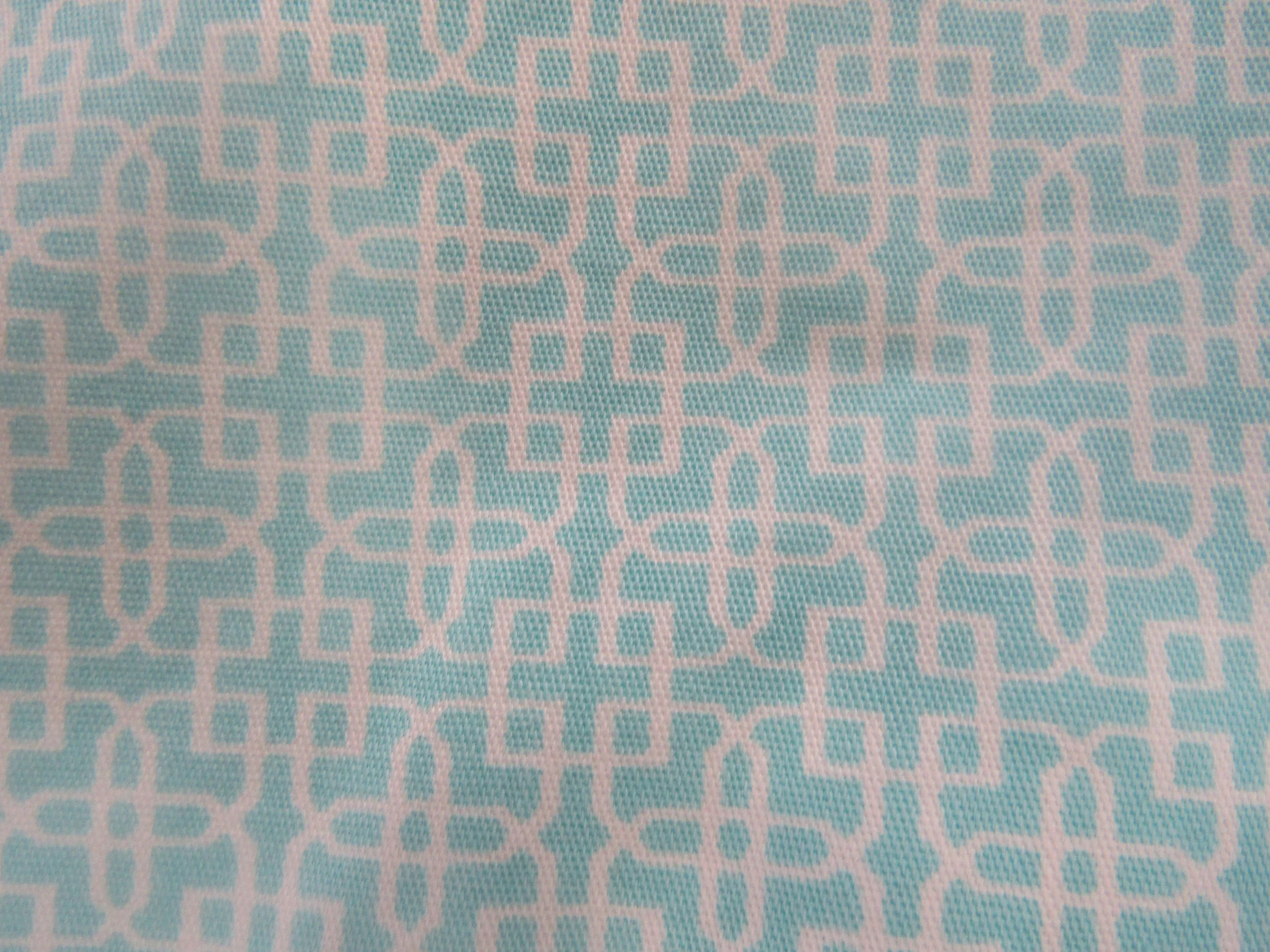 teal print shorts pattern.jpg