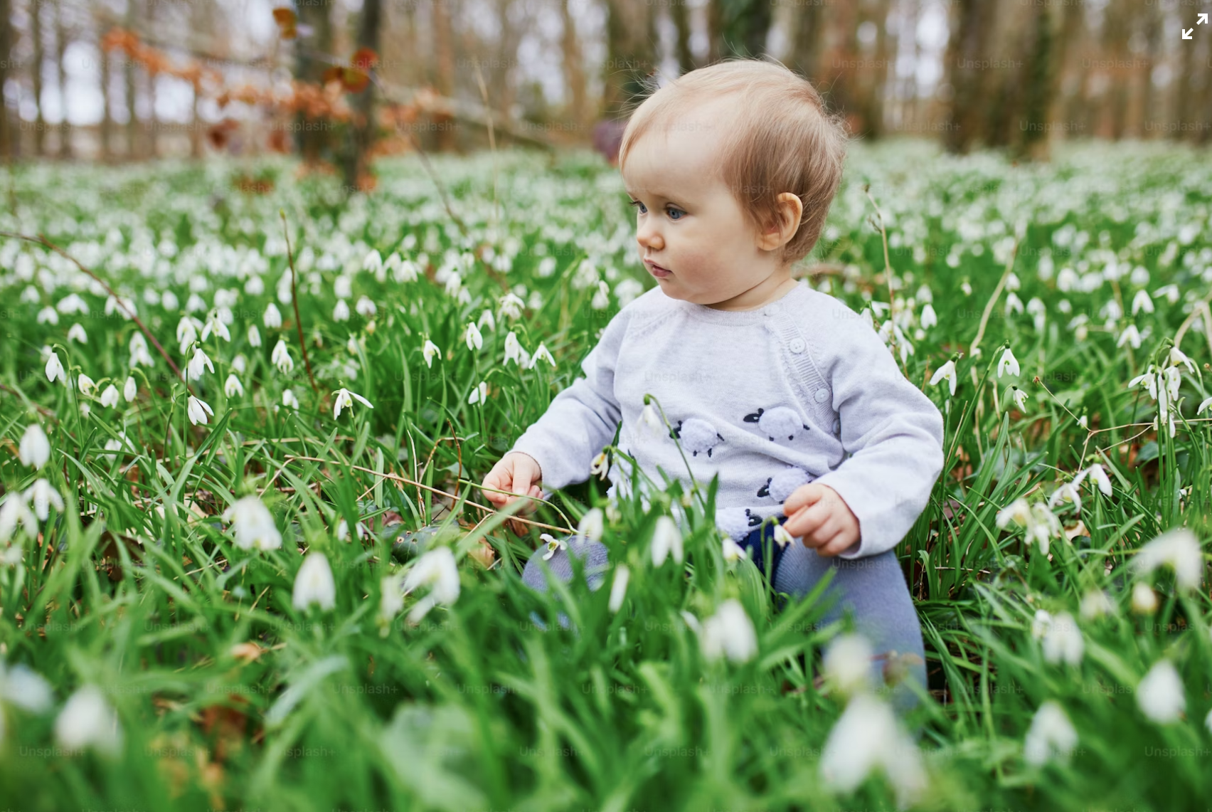 Seasonal Baby Yoga Pop-Ups - Move, Play &amp; Connect!&nbsp;