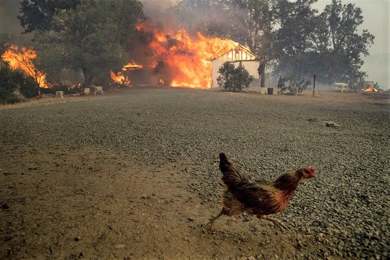 California wildfires.jpg