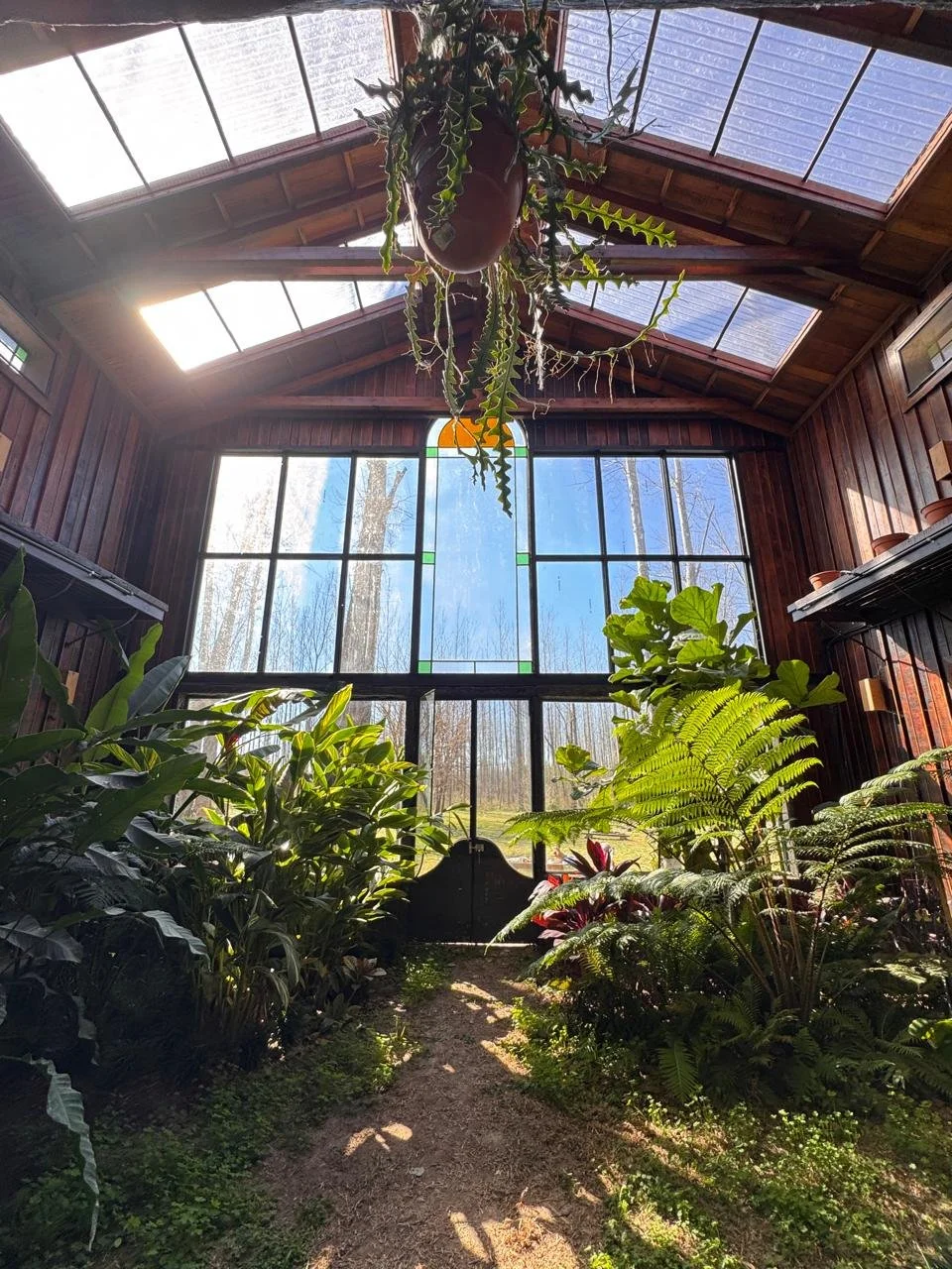 WhatsApp Image 2025-08-10 at 16.44.45.jpeg