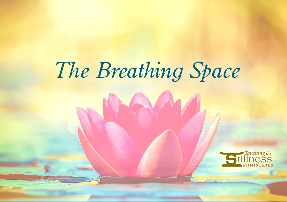 The Breathing Space — Our Bi-Monthly Meditation on Zoom