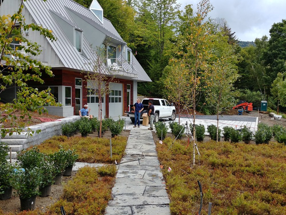 Planting for a landscape project in Warren, Vermont