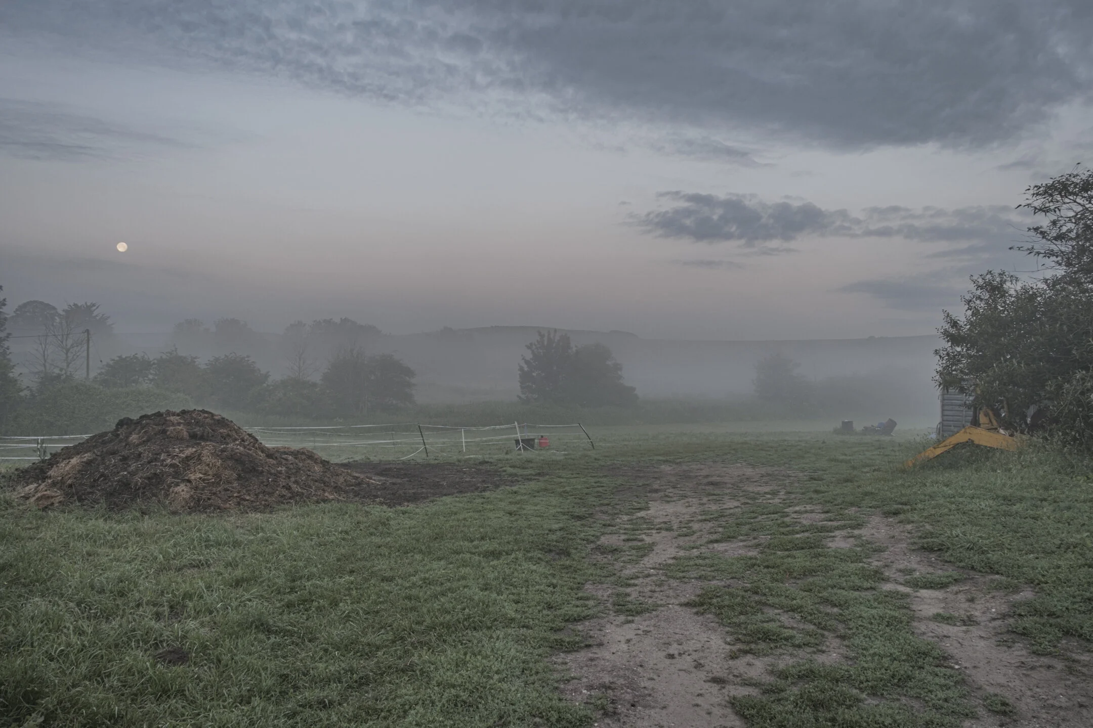_DSF0901.JPG