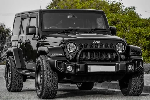 Jeep img small.jpg
