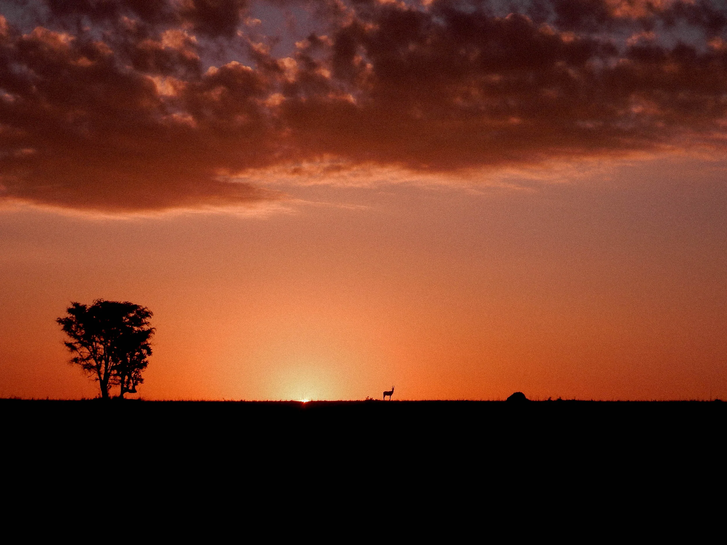 Apoka - African sunset.jpg