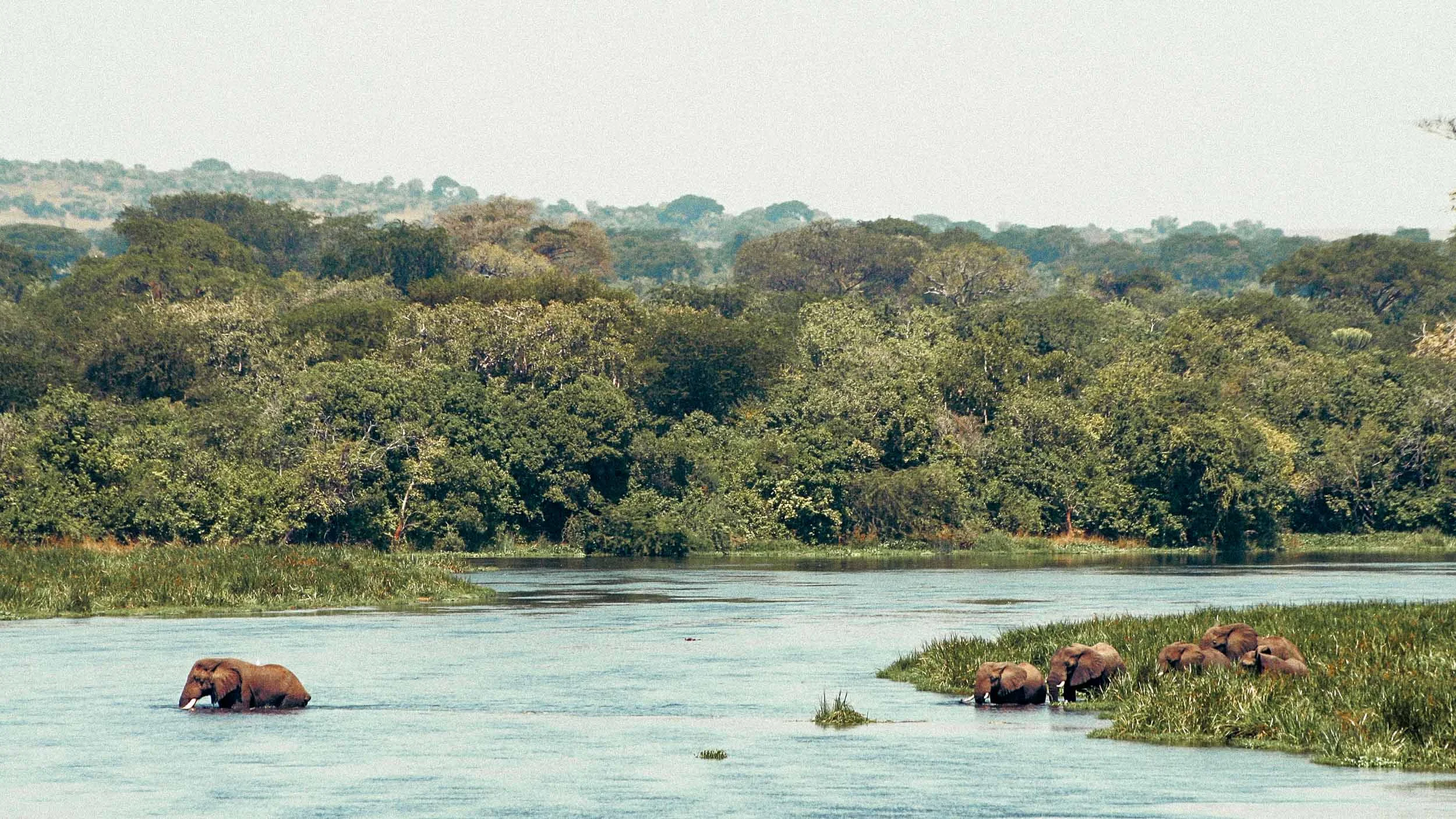 go2uganda-20151230.jpg