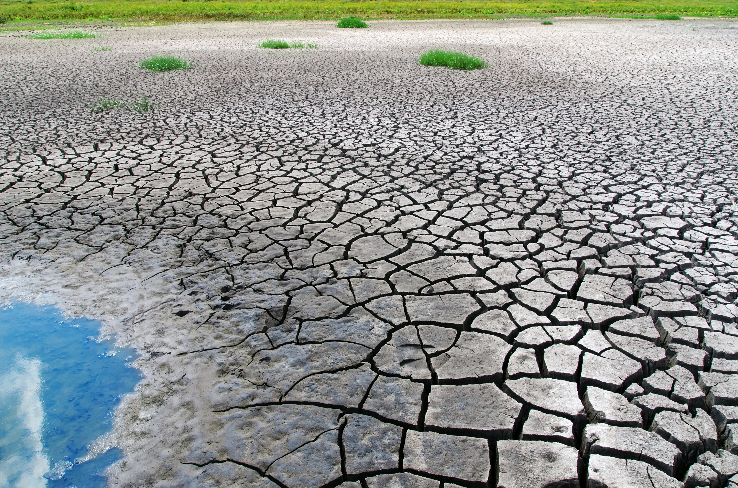Water Resources & Policy: Exploring the Risks, Benefits and Opportunities for Conservation Workshop 