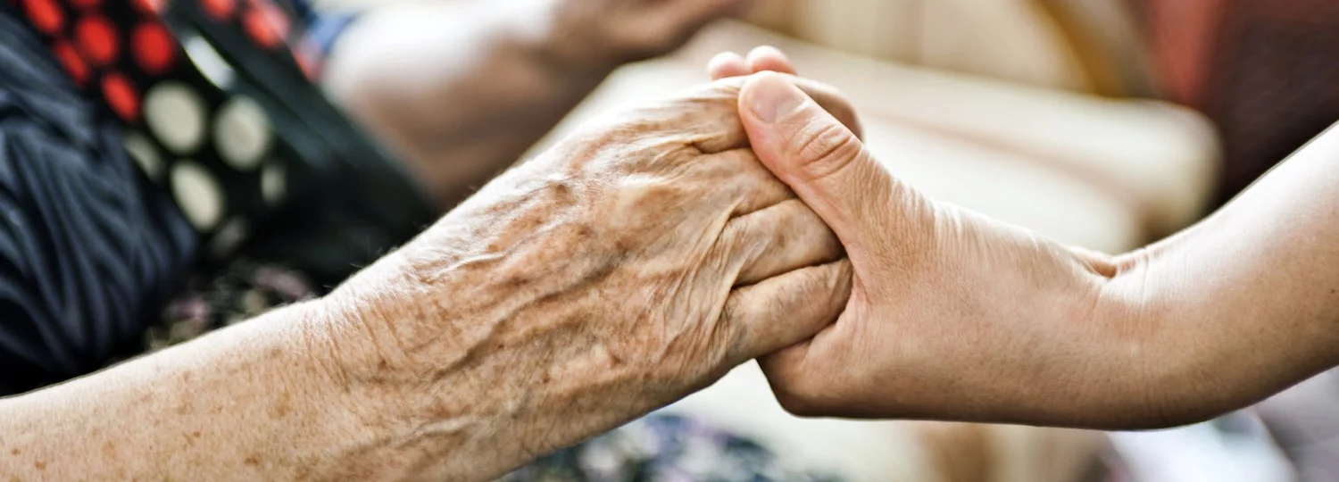Banner - Elder Law.jpg