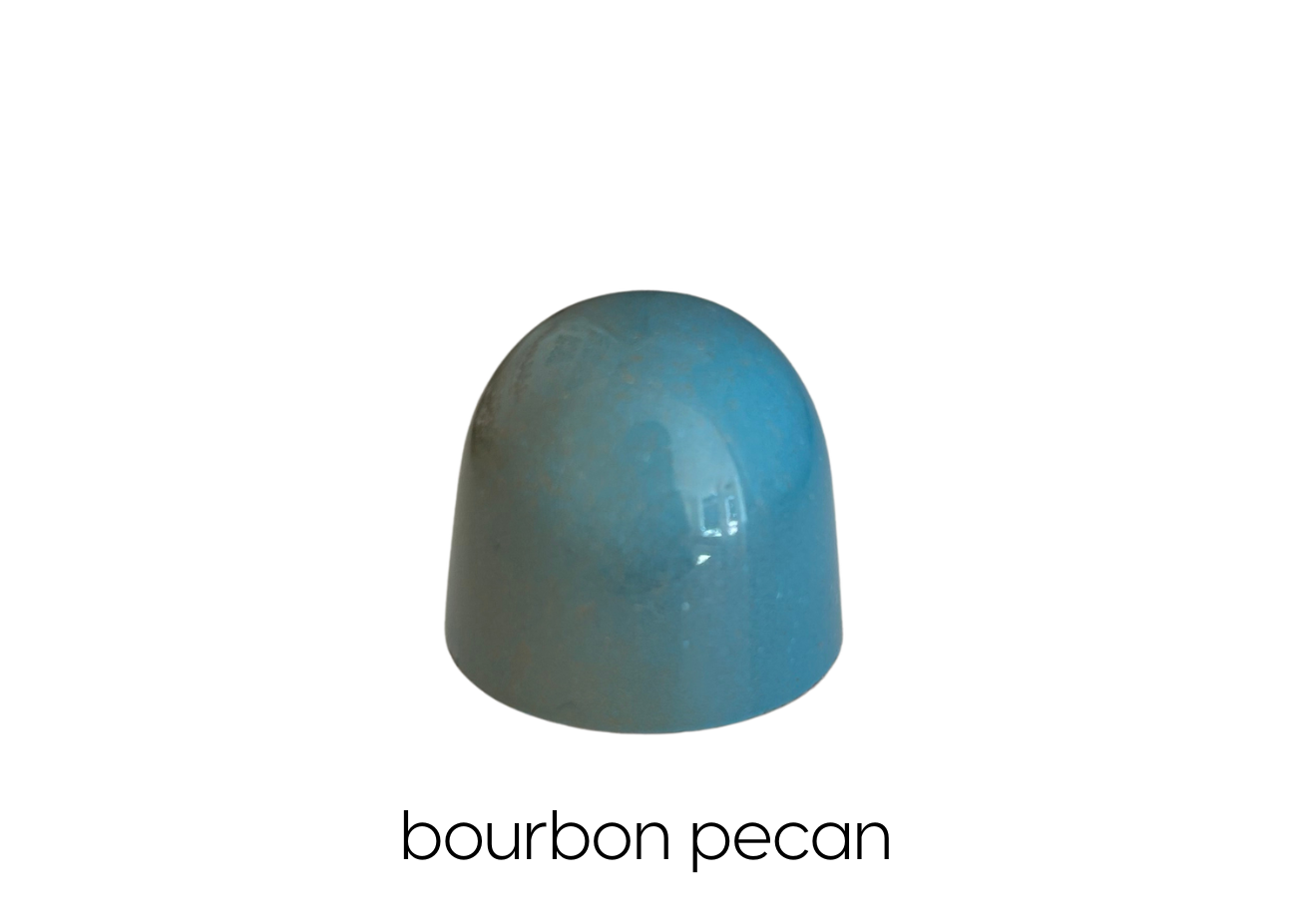 bourbon caramel with house made pecan praliné ganache in milk chocolate