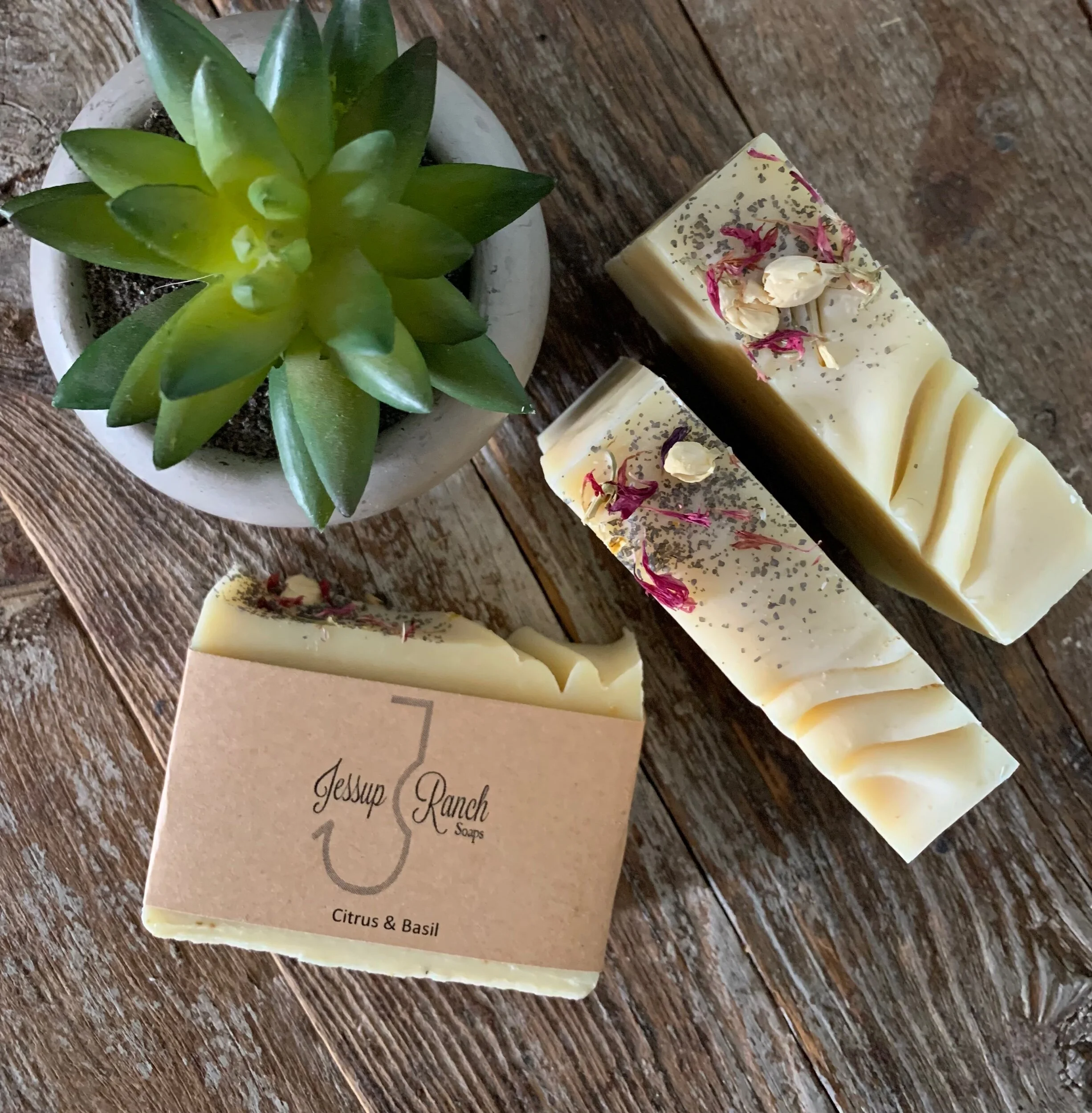 AFC2E3A6-66E7-4793-B1FA-34F77C55FBFC