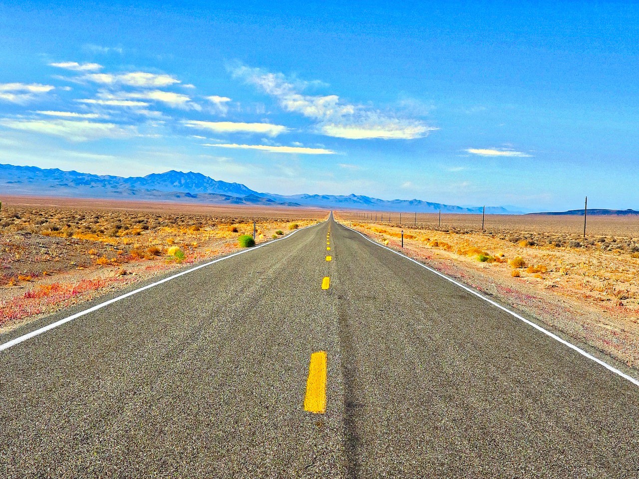 “The road to ignorance is paved with good editors.” —George Bernard Shaw