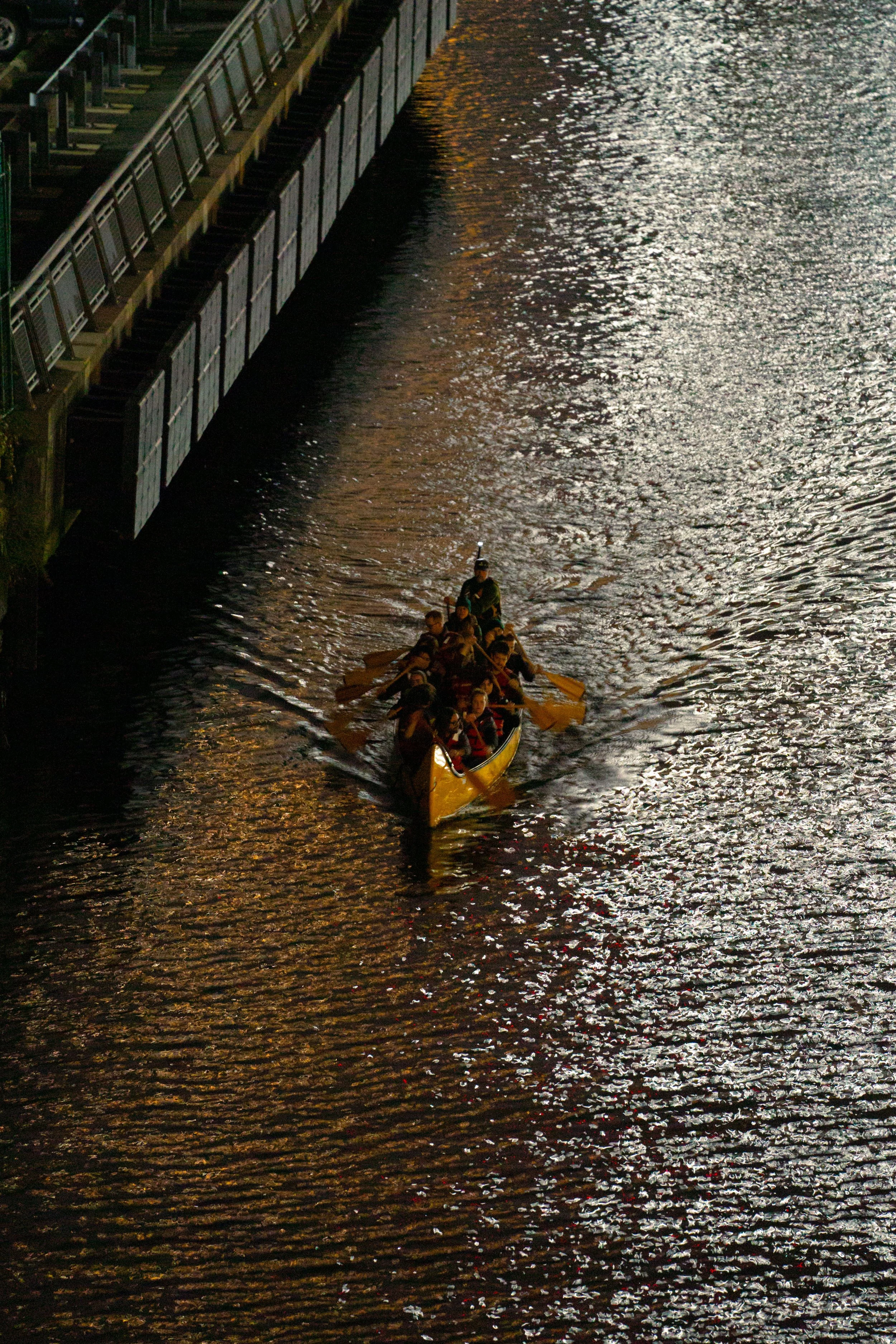 DSC08212.jpg