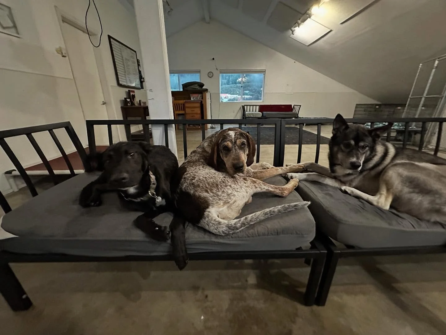 Lots of snuggling but don&rsquo;t let that fool you, we playin hard🩷