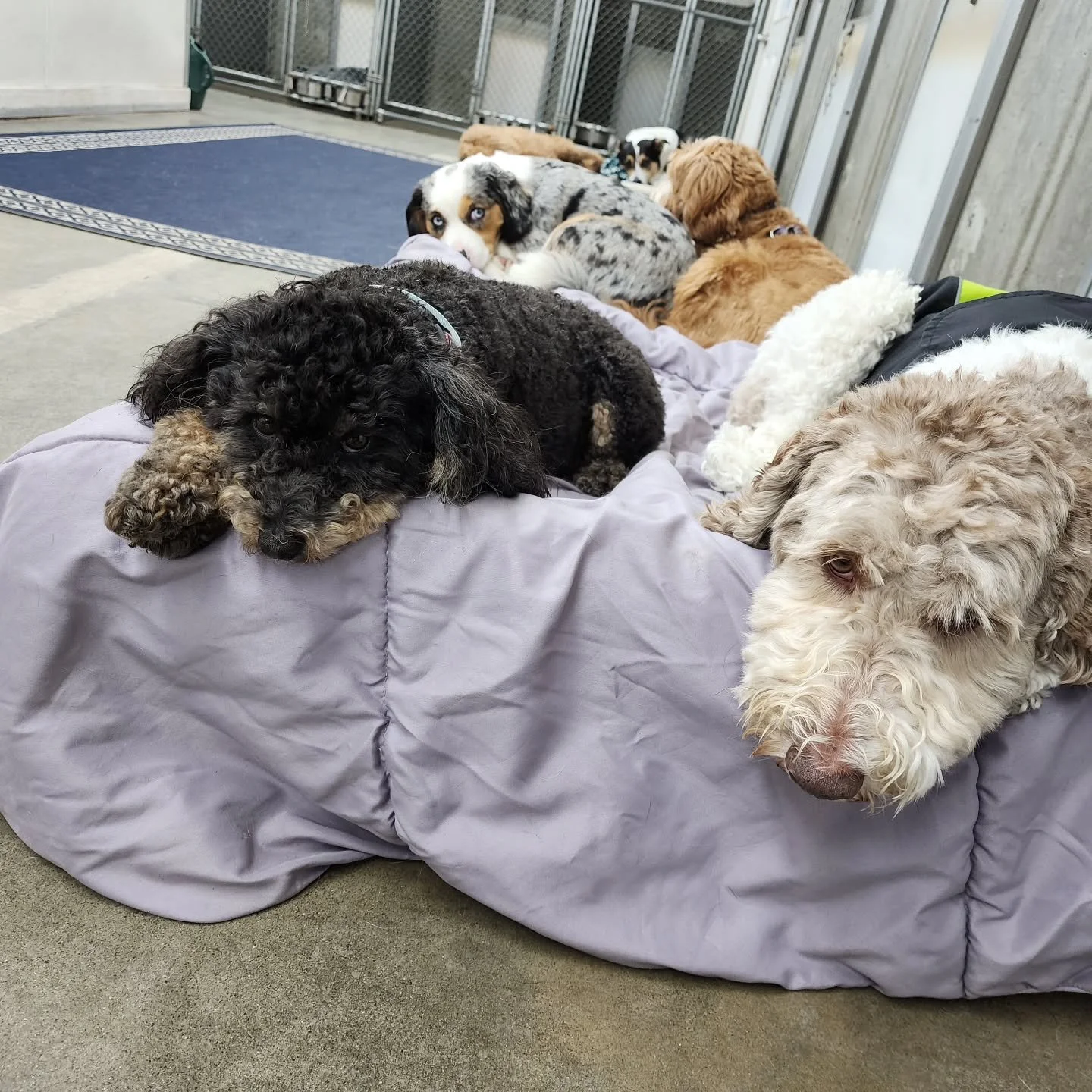 Our small(er) group is trying to stay cozy on this rainy Thursday, but of course there is always room for rumpus on the schedule!