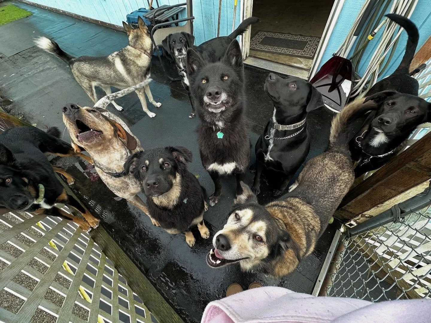 What a lovely Thursday❤️&zwj;🔥