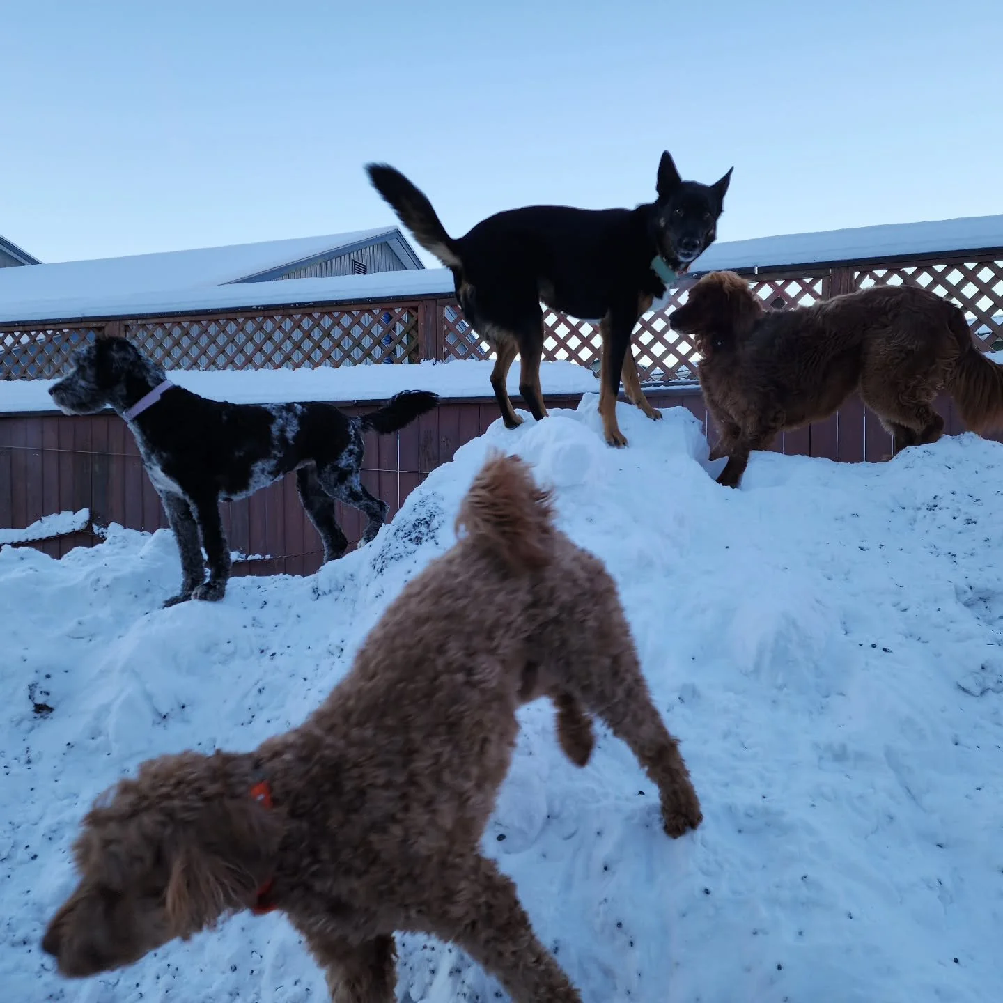 Another day of fun in the sun and snow! No better way to send off the week!